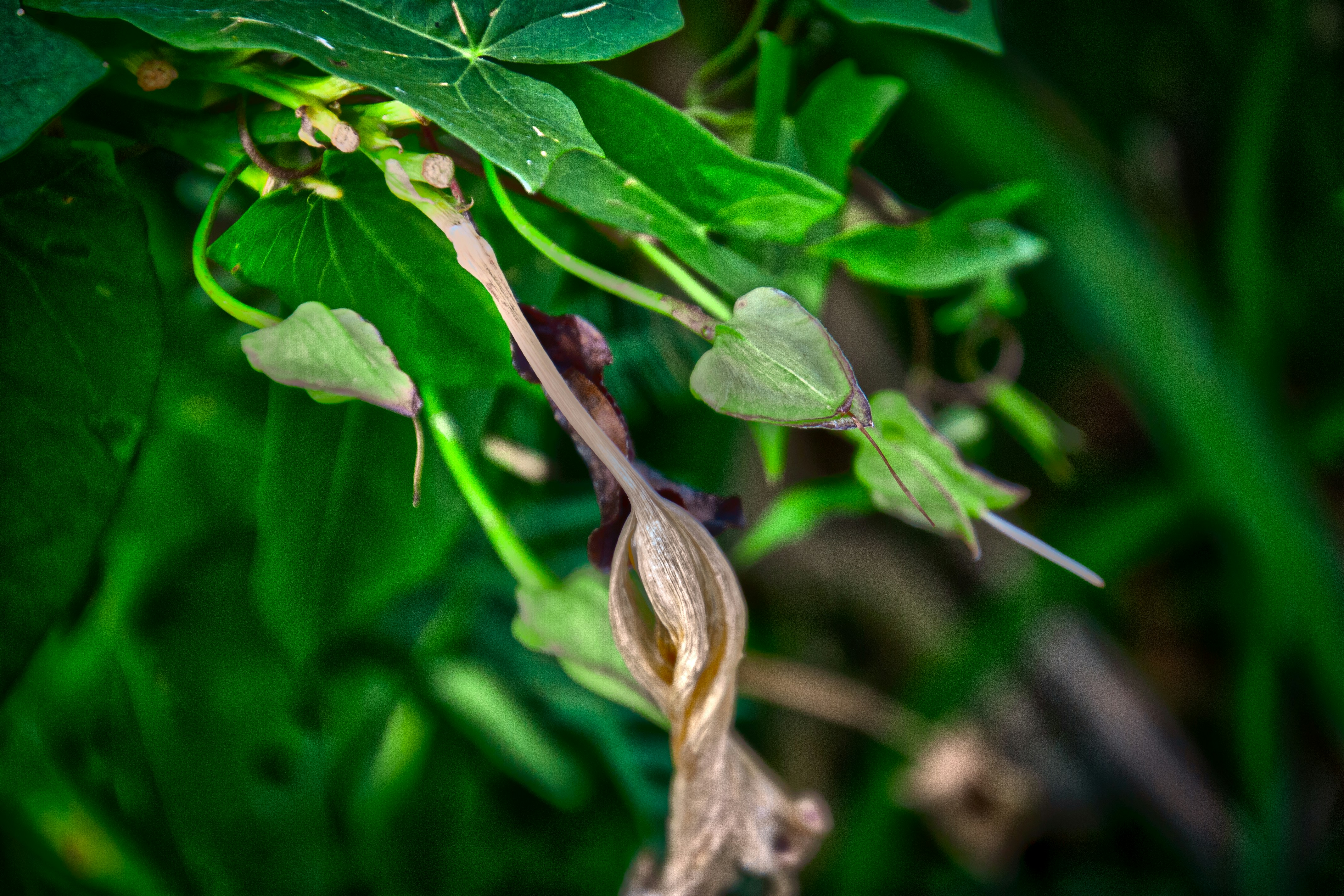 Photo by anthonyaird