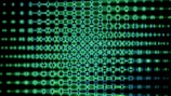 Green, patterned light against a dark background.