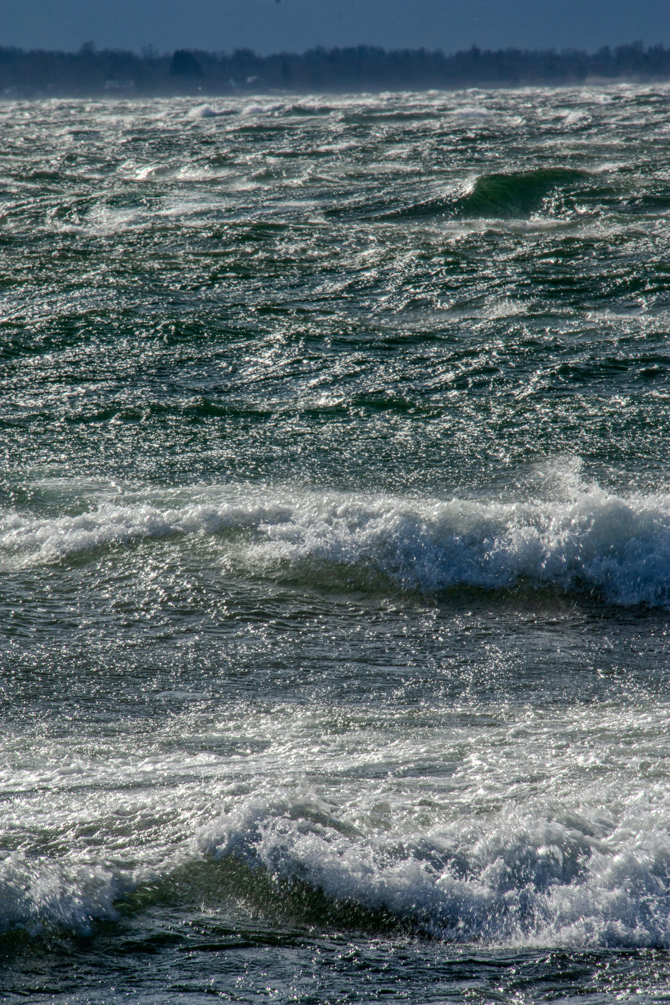 Photo by anthonyaird