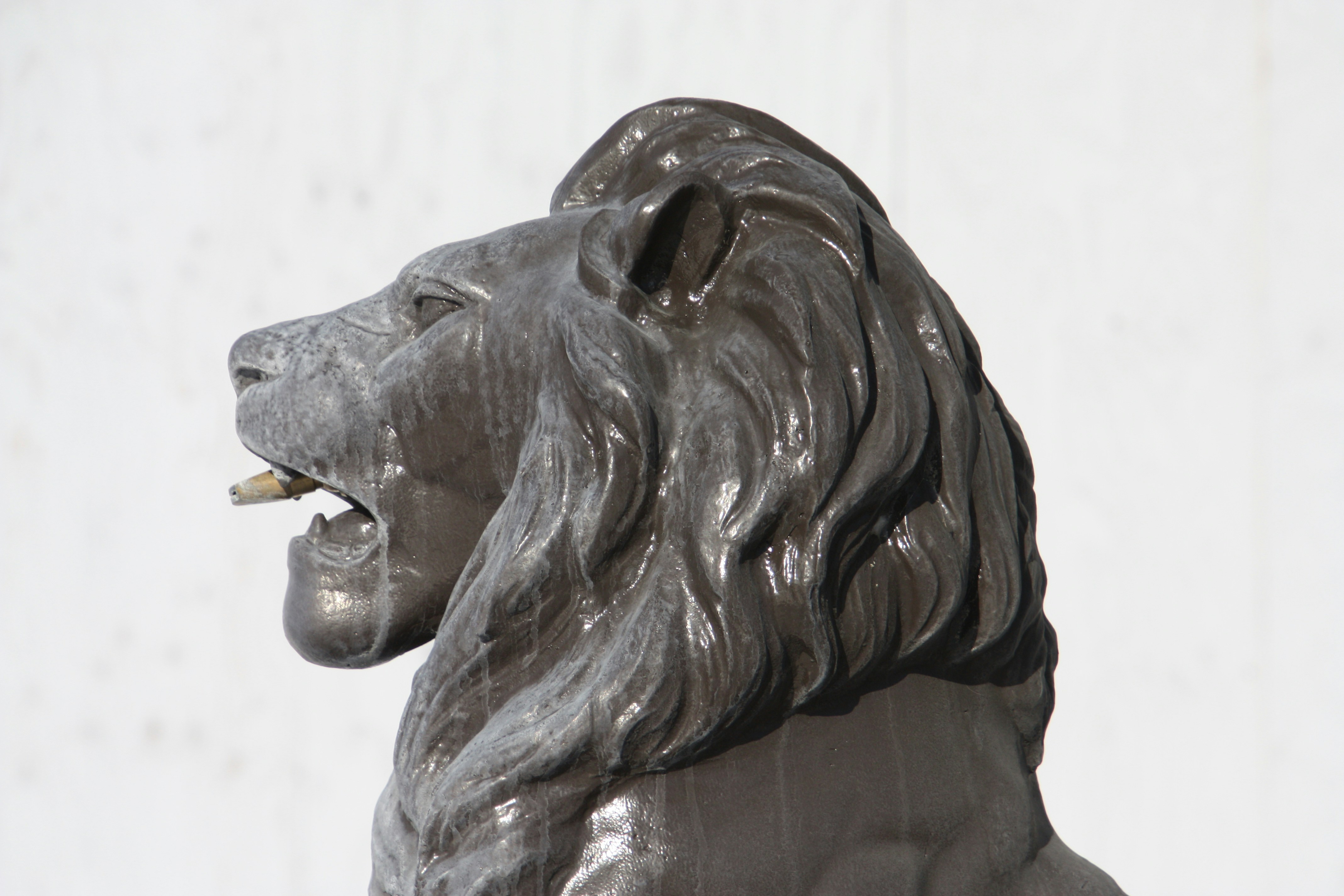 Photo by anthonyaird