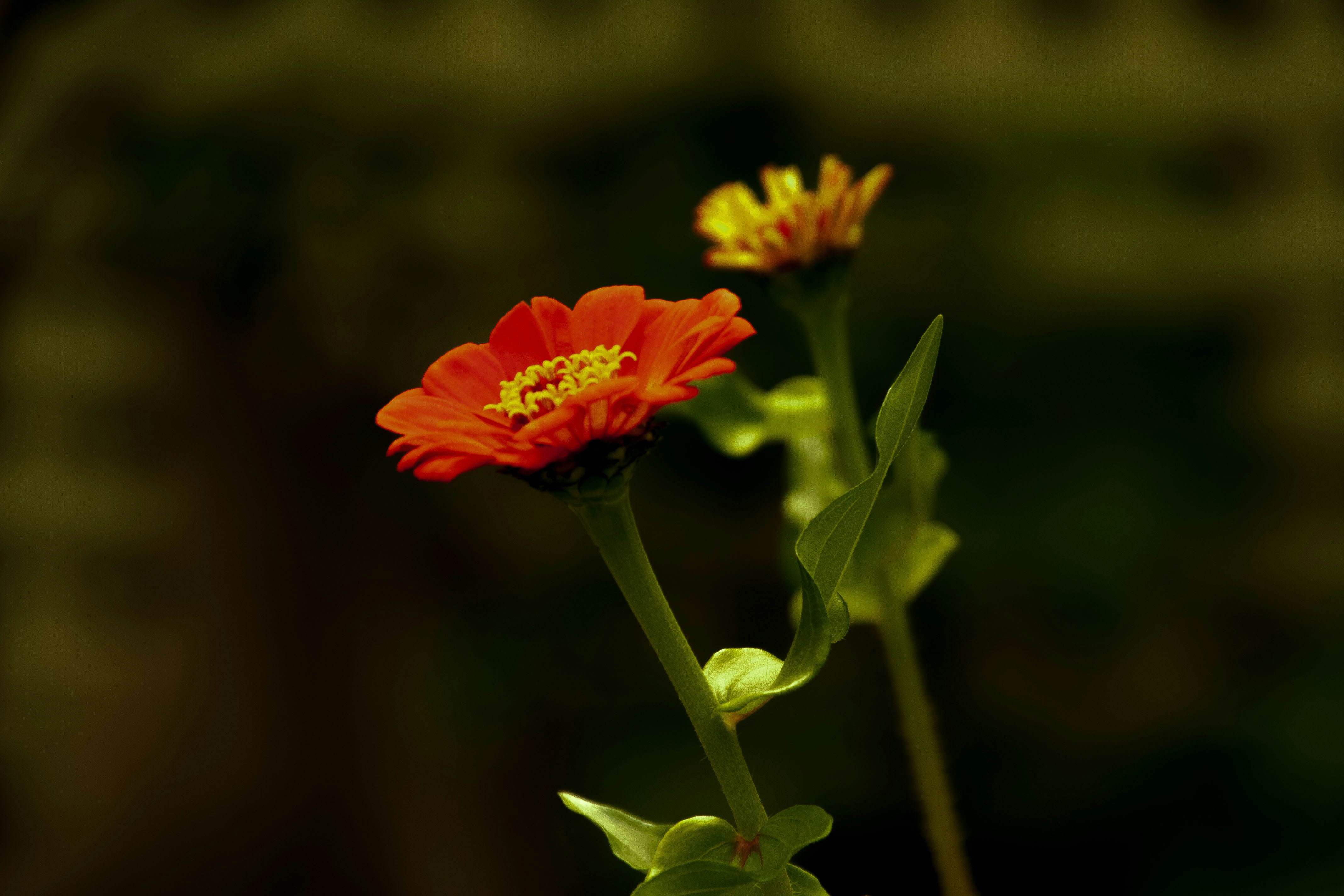 Photo by anthonyaird