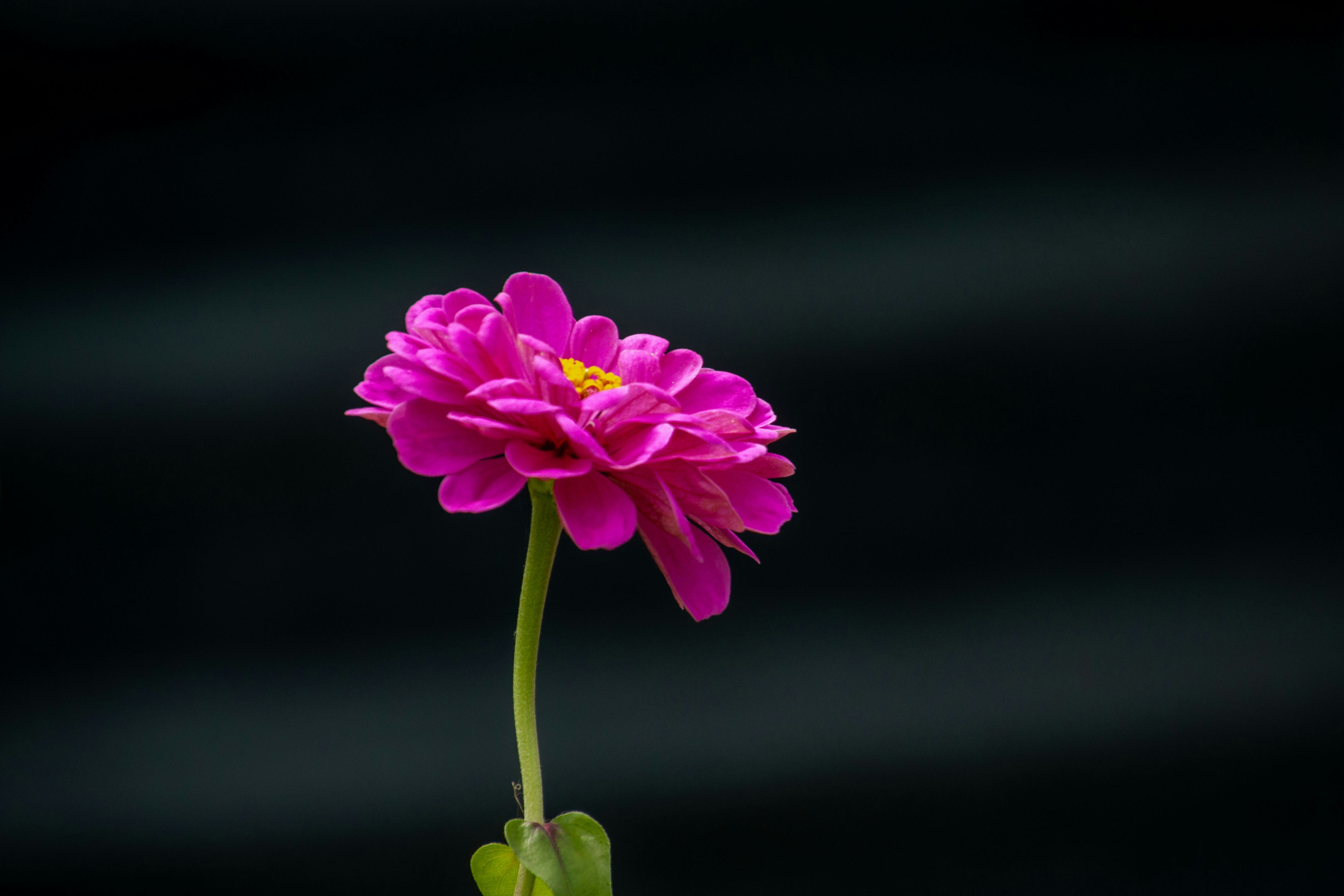 Photo by anthonyaird