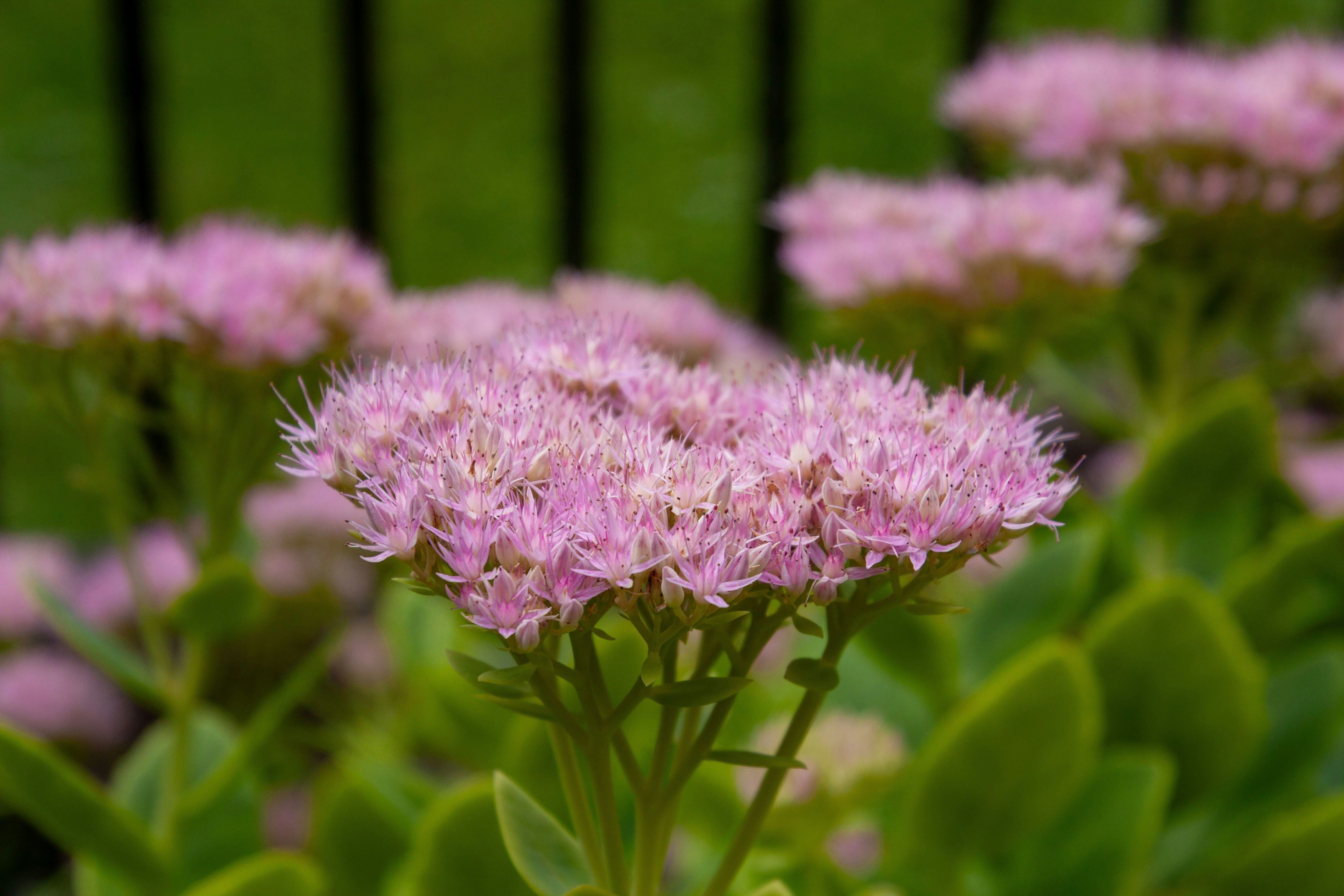 Photo by anthonyaird