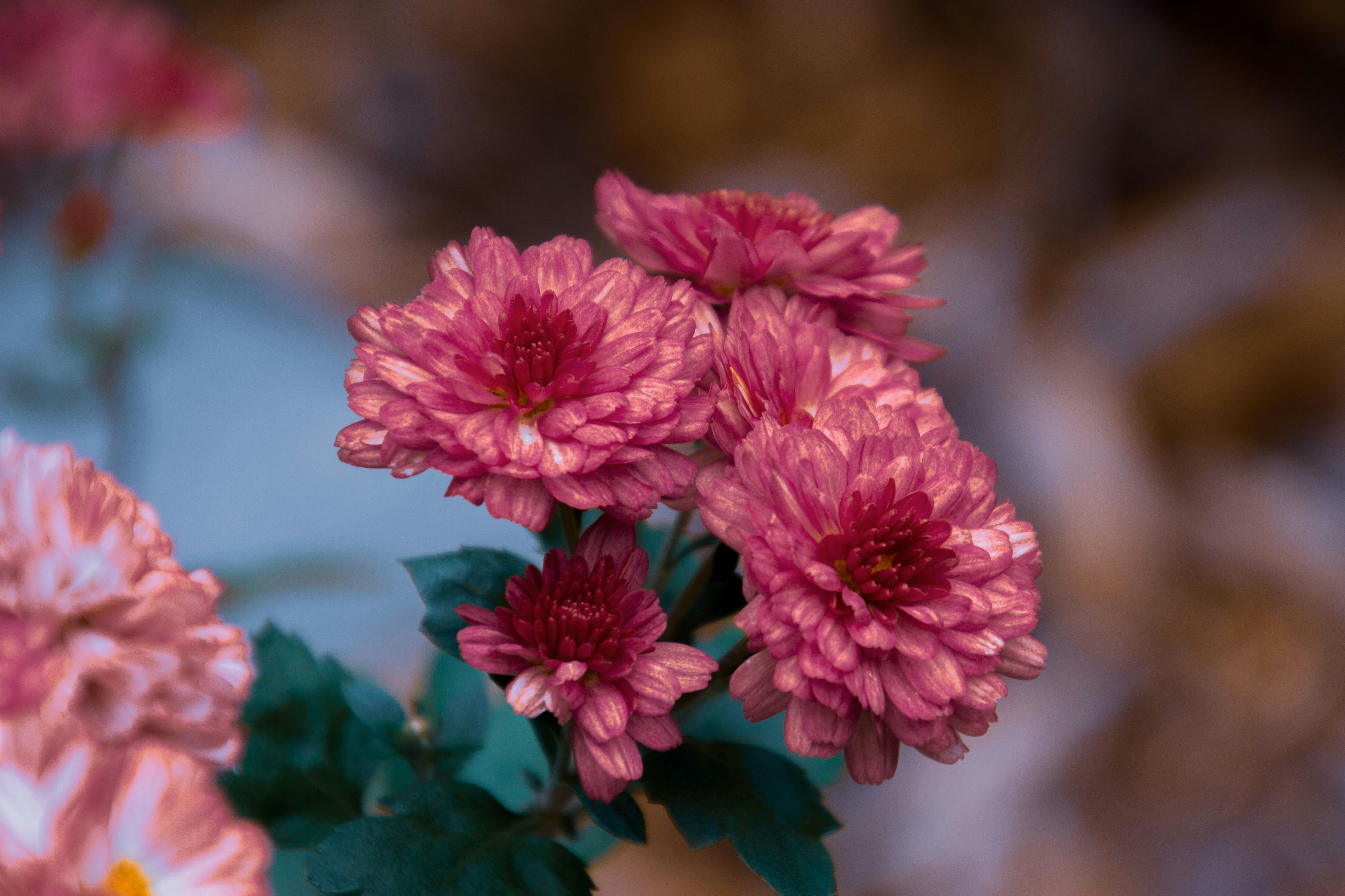 Photo by anthonyaird