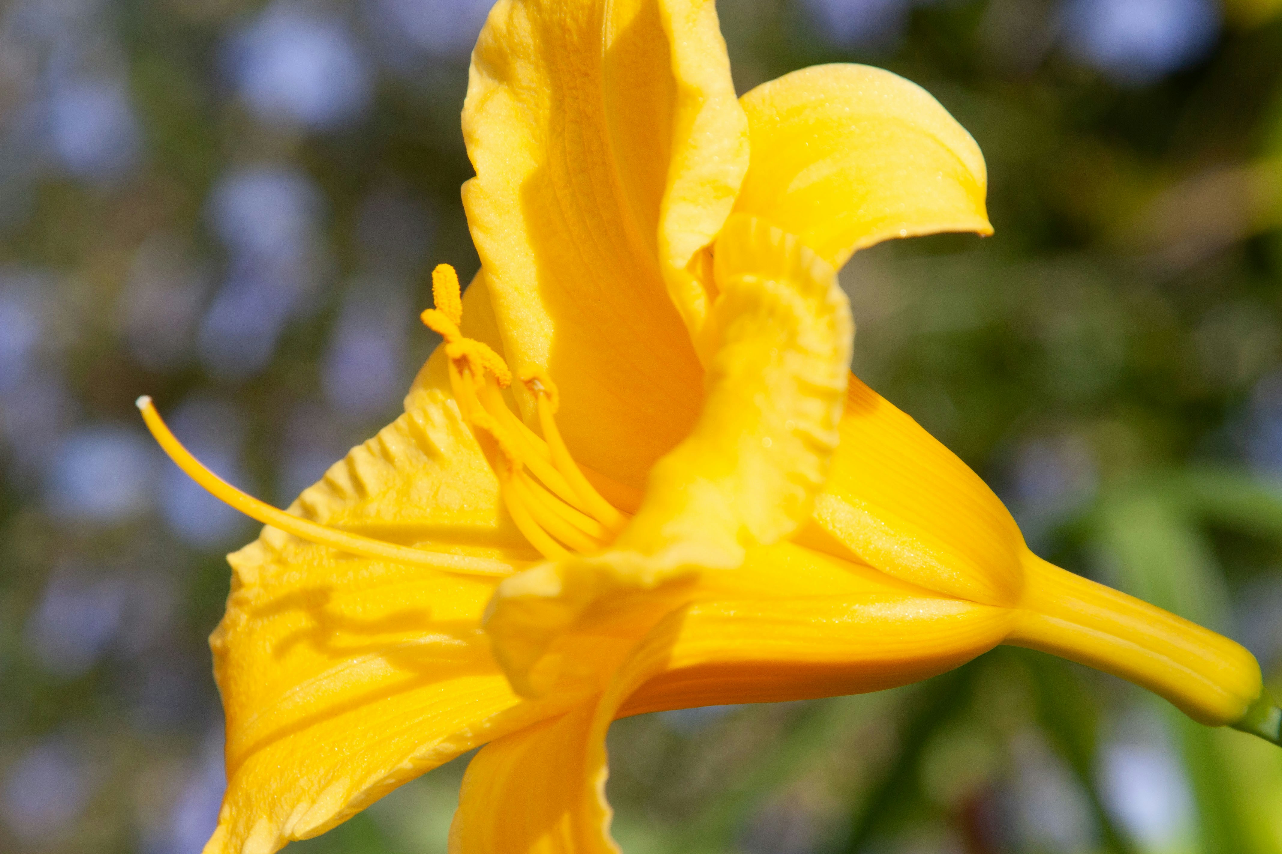 Photo by anthonyaird