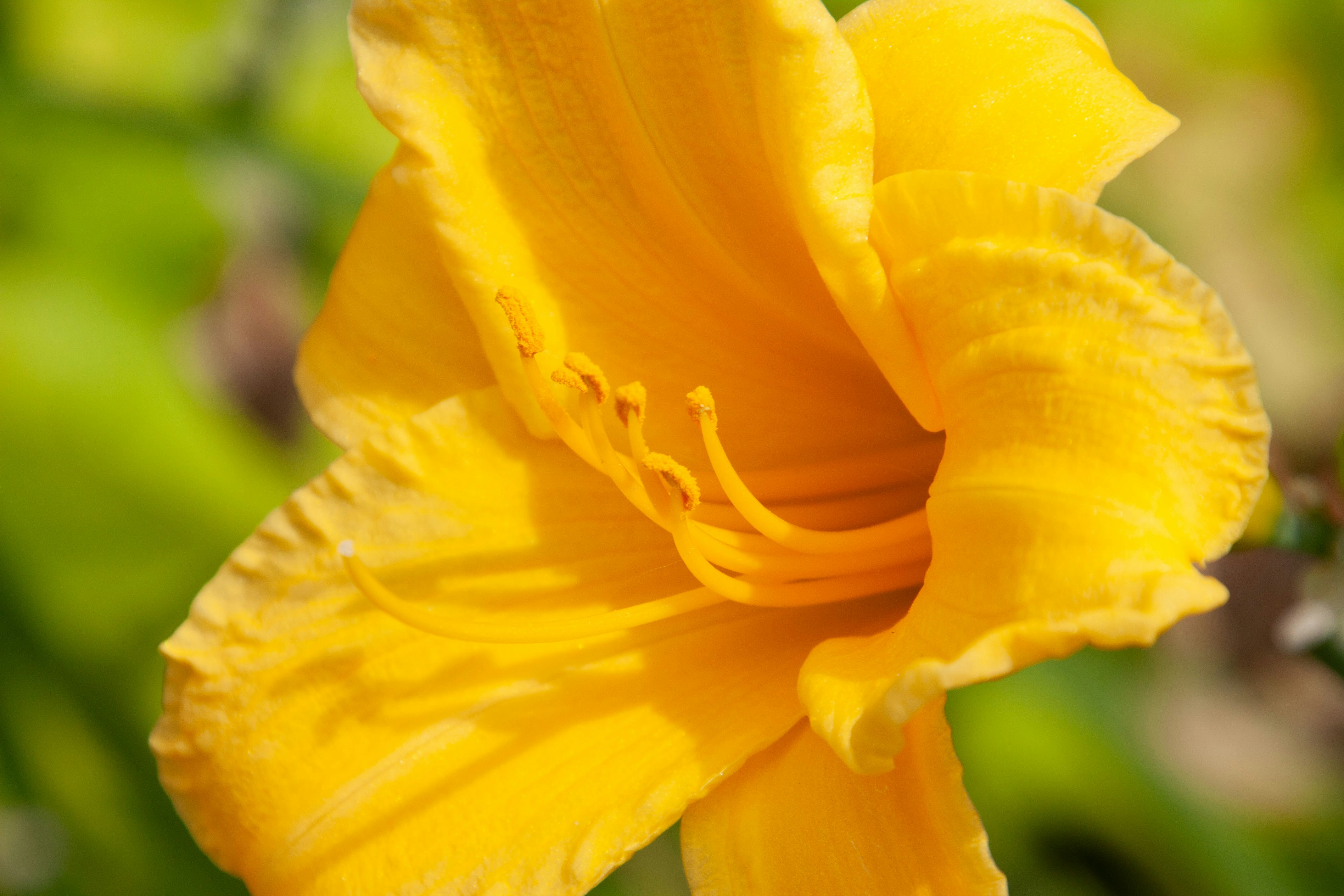 Photo by anthonyaird