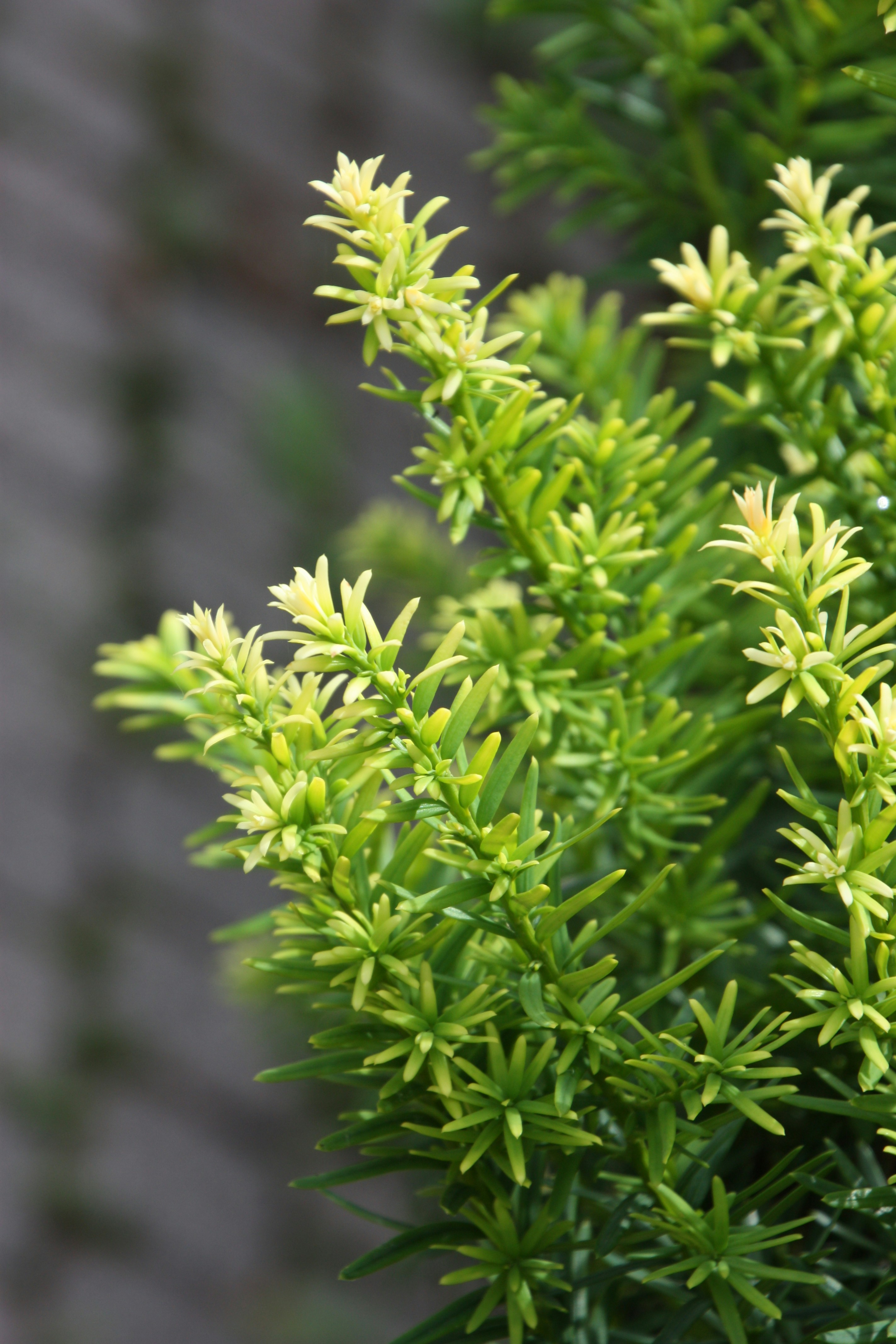 Photo by anthonyaird