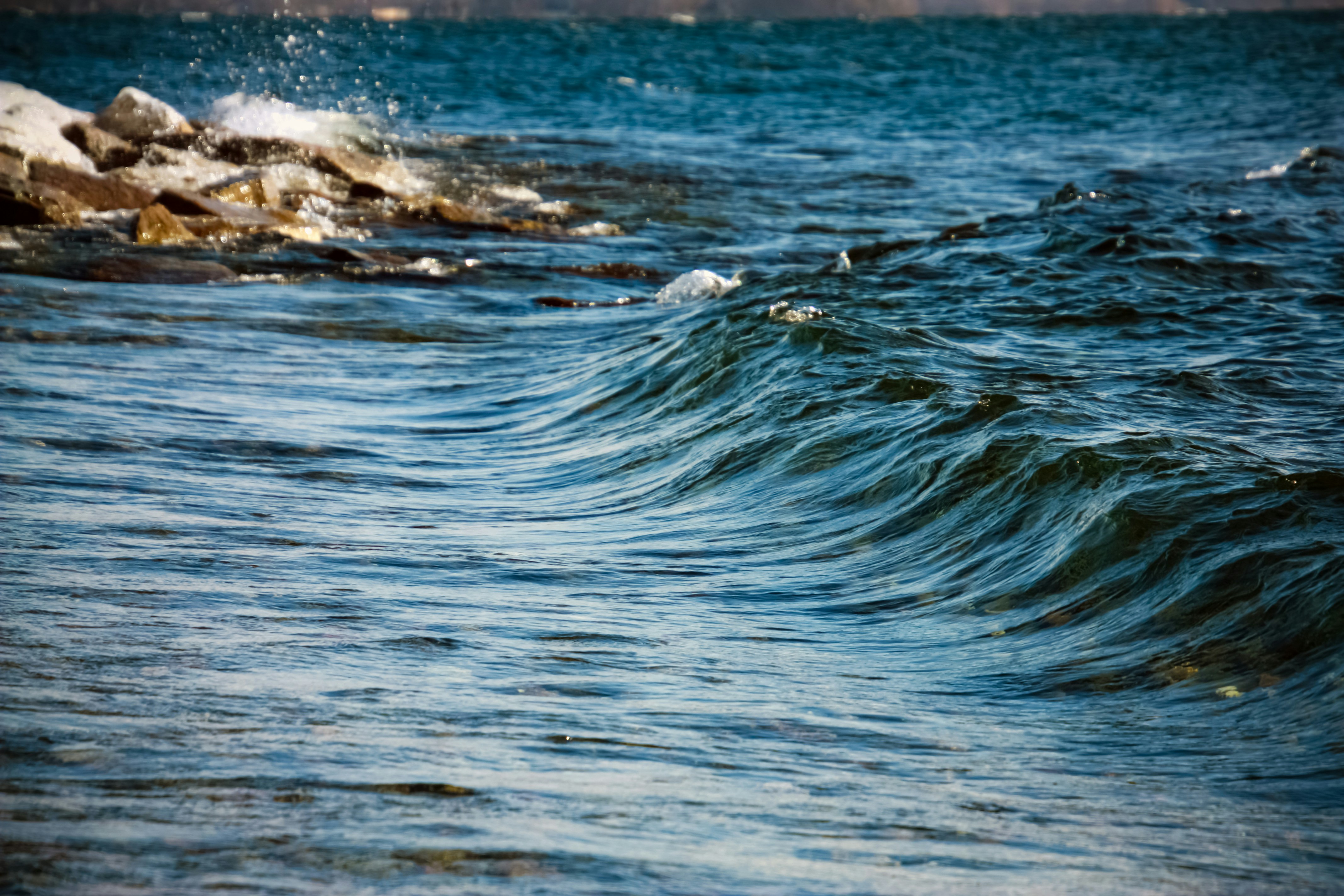 Photo by anthonyaird