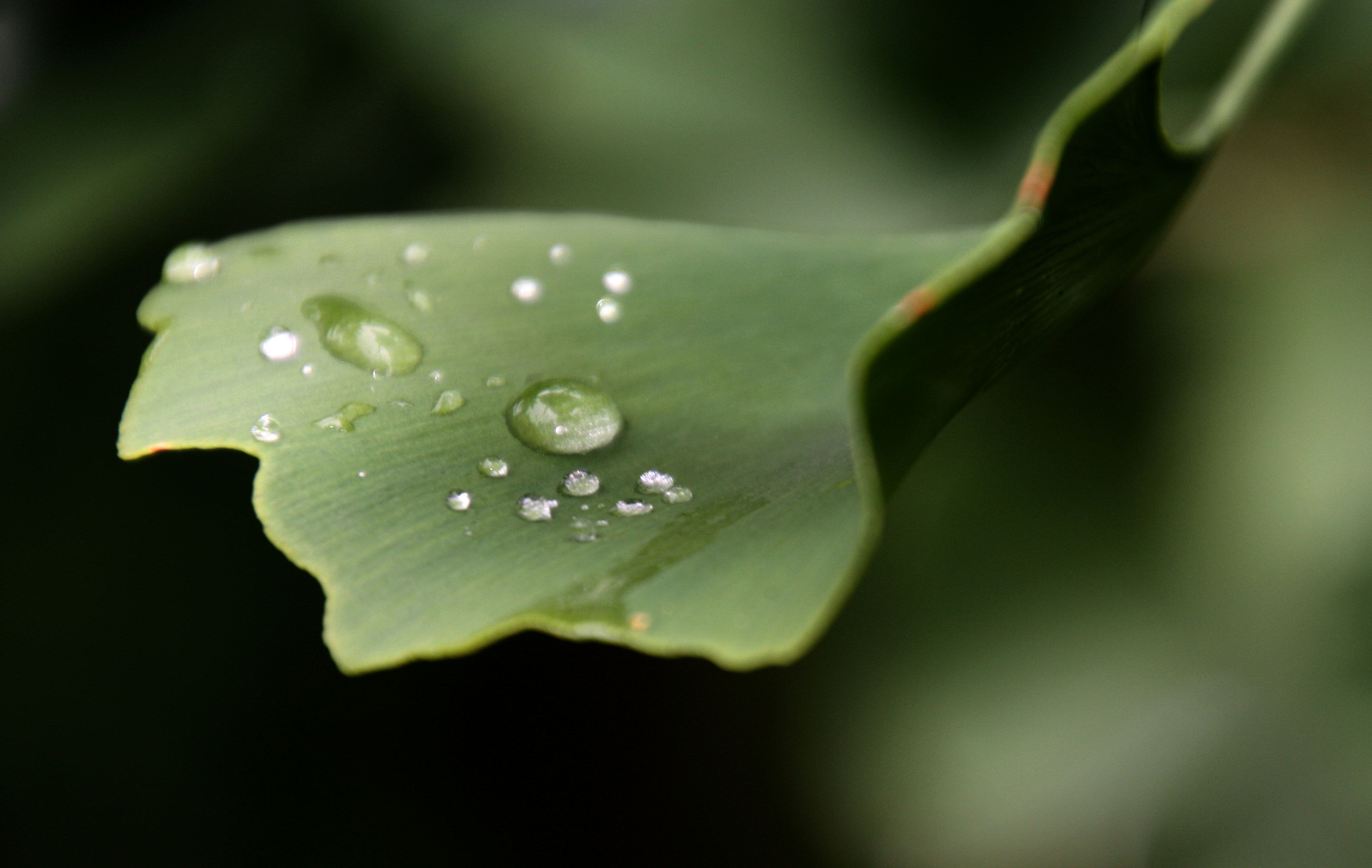 Photo by anthonyaird