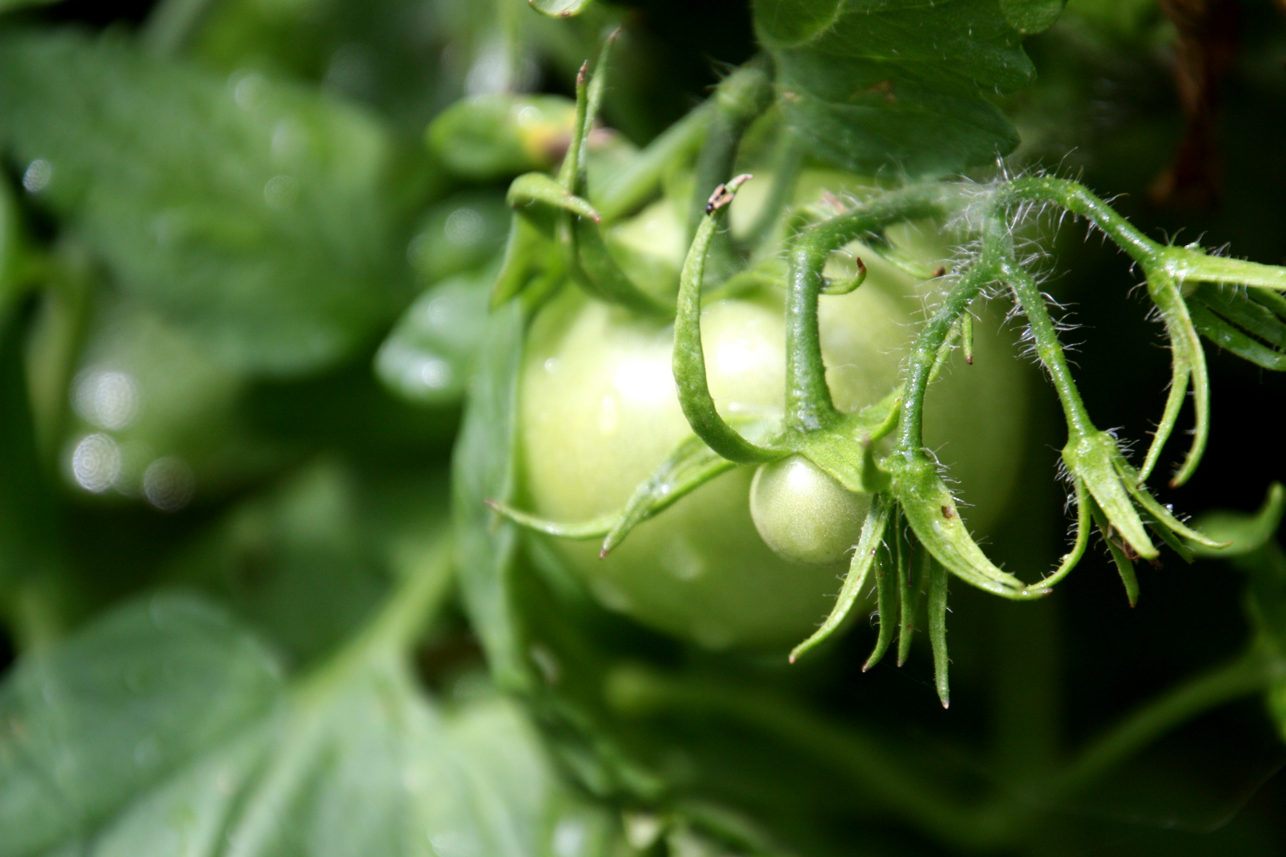 Photo by anthonyaird