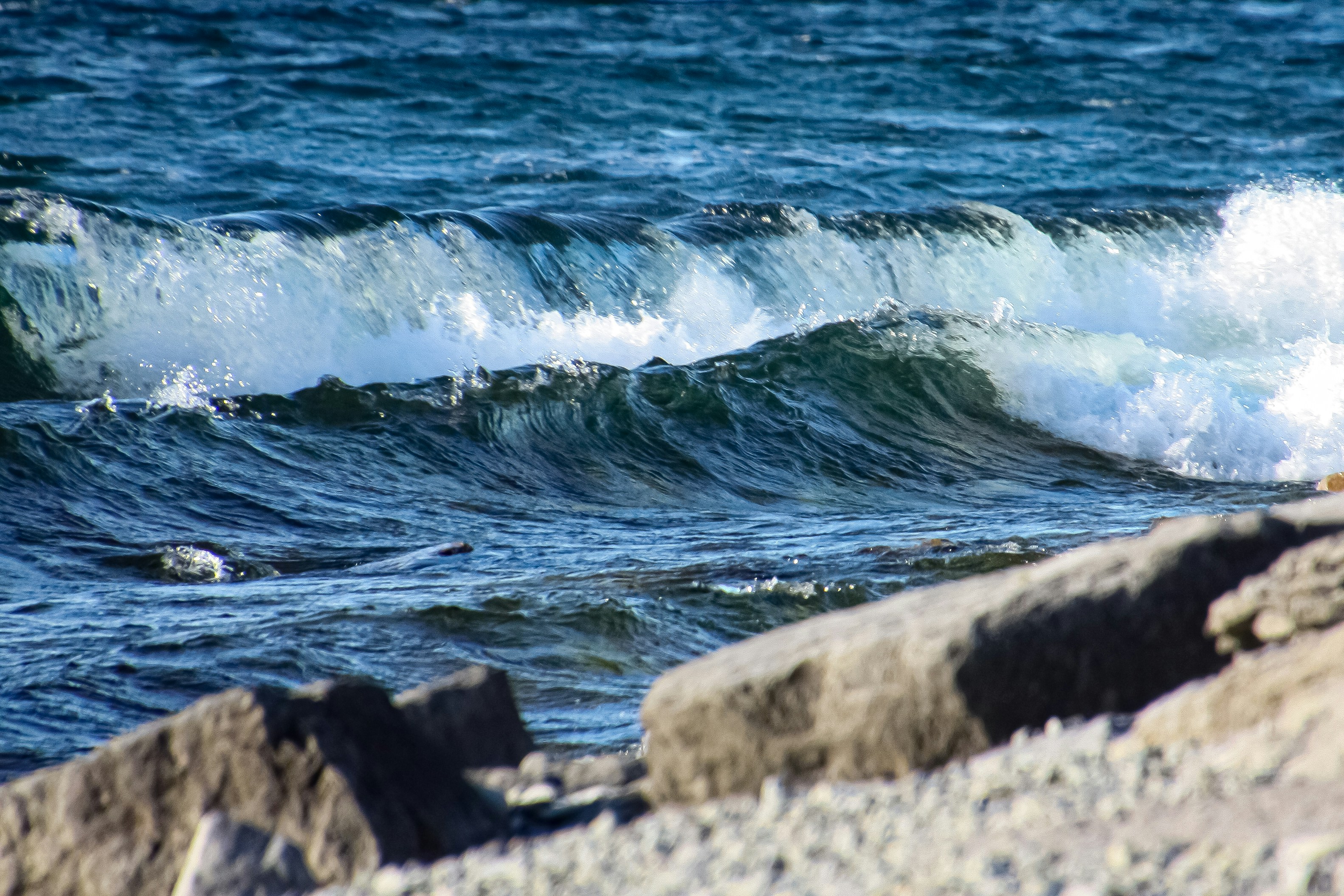 Photo by anthonyaird