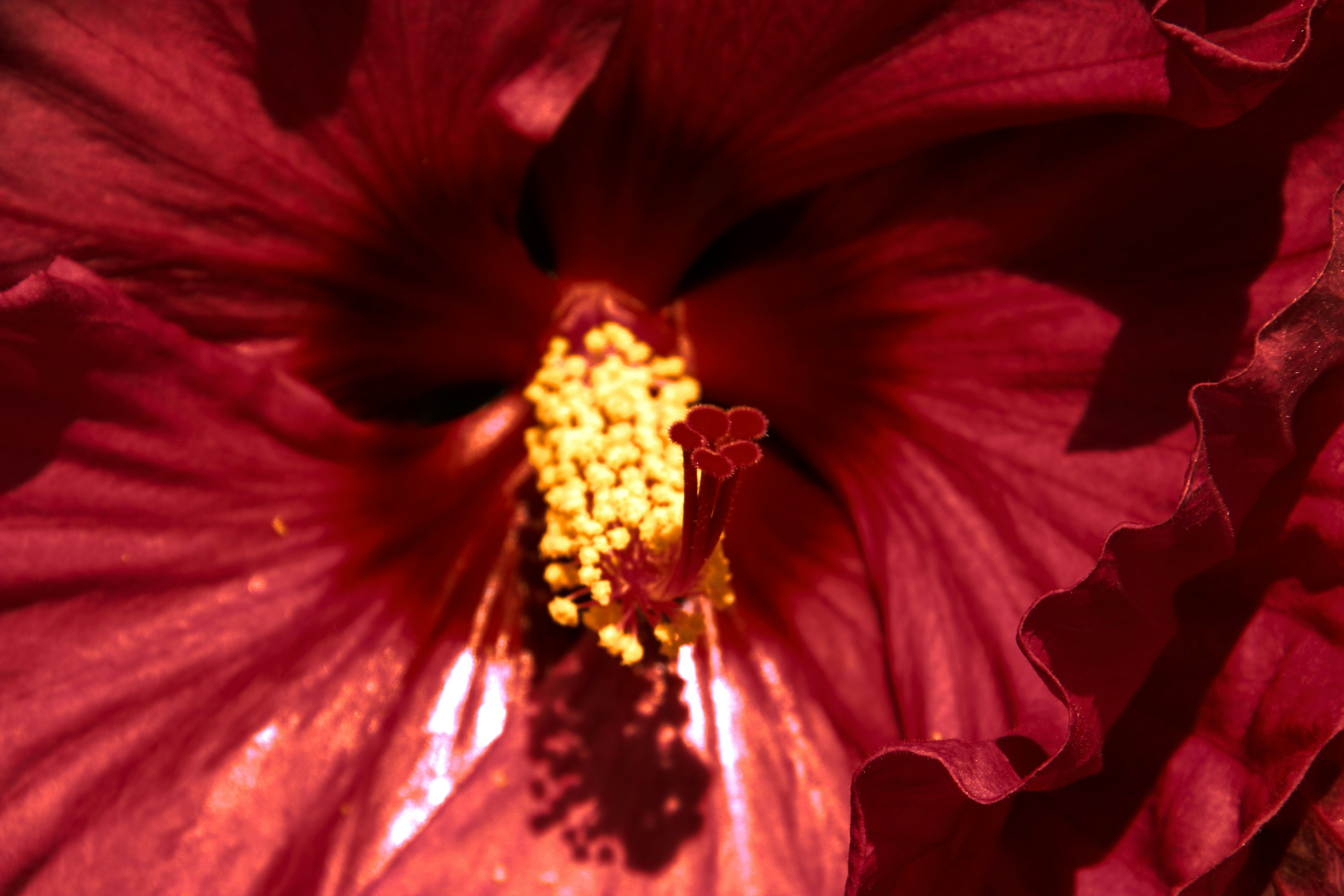 Photo by anthonyaird