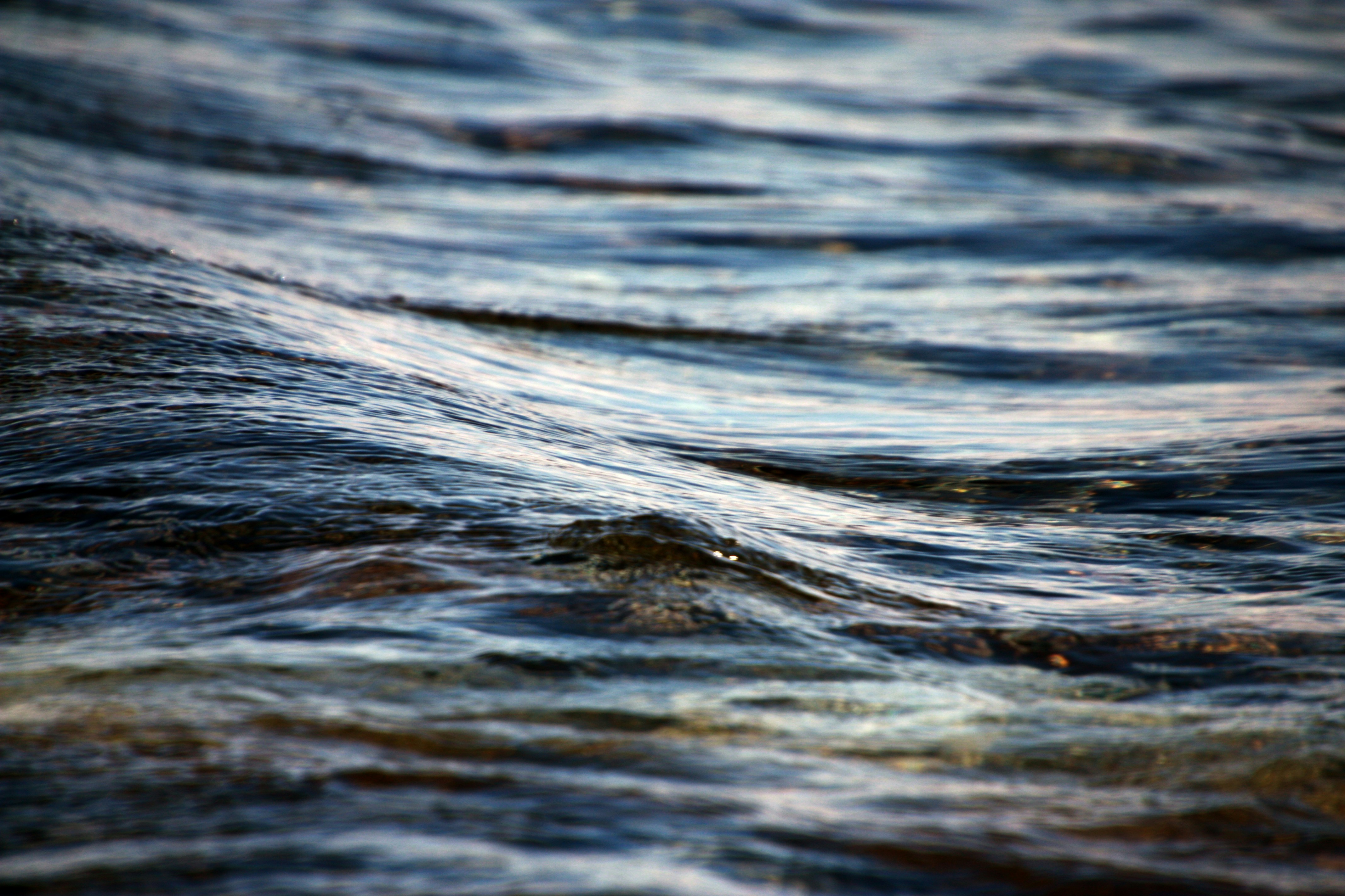 Photo by anthonyaird