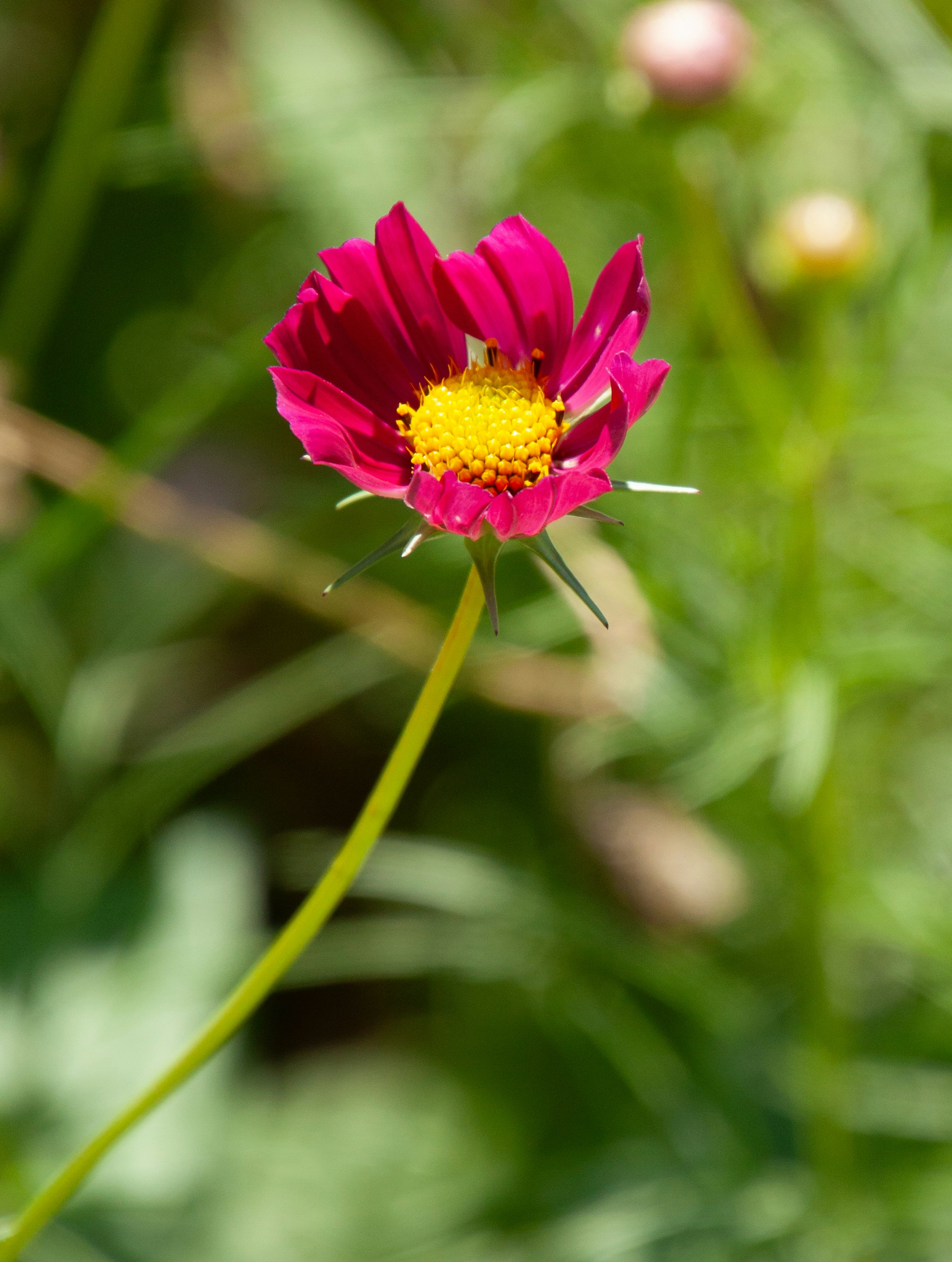 Photo by anthonyaird