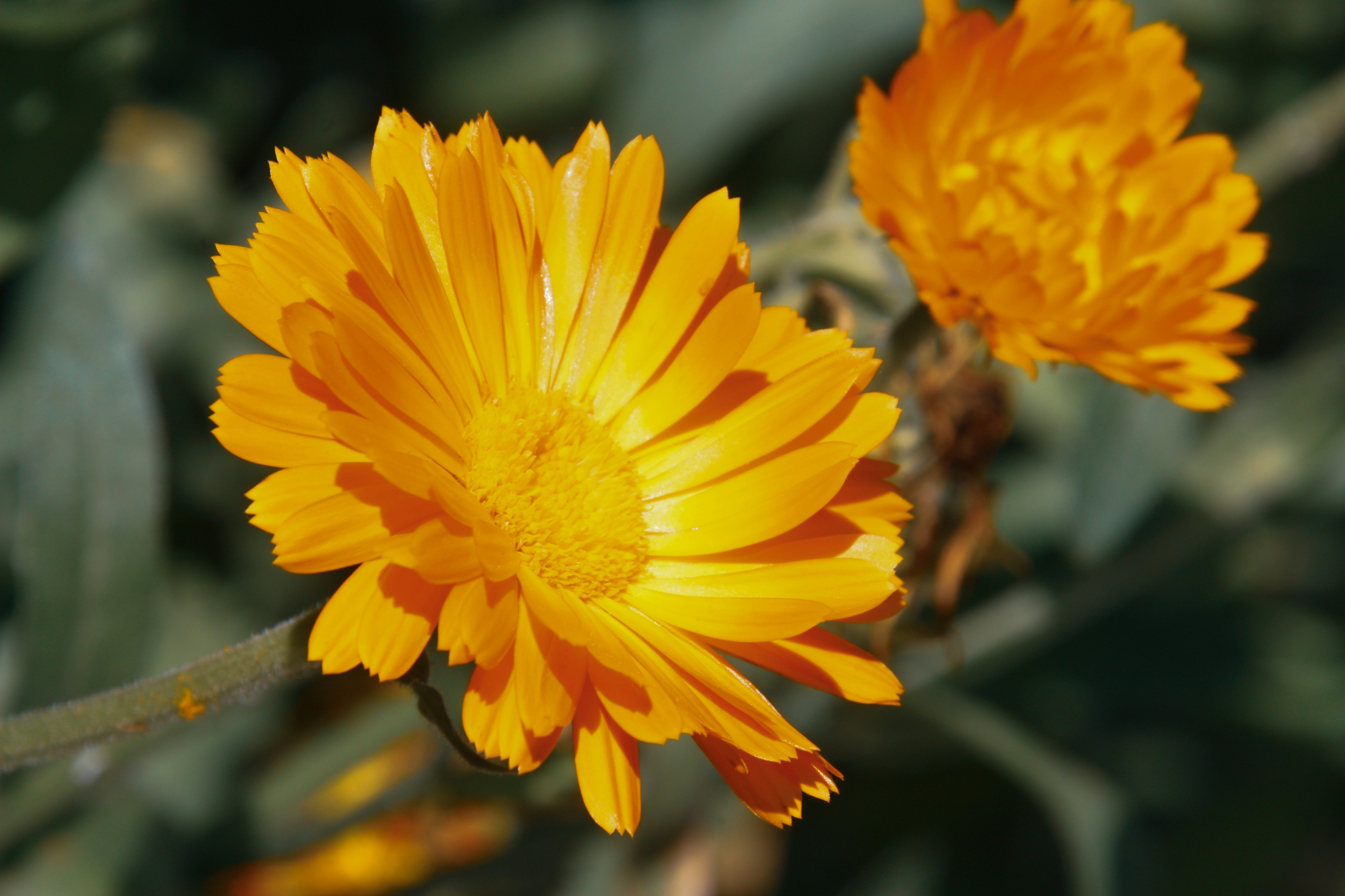 Photo by anthonyaird