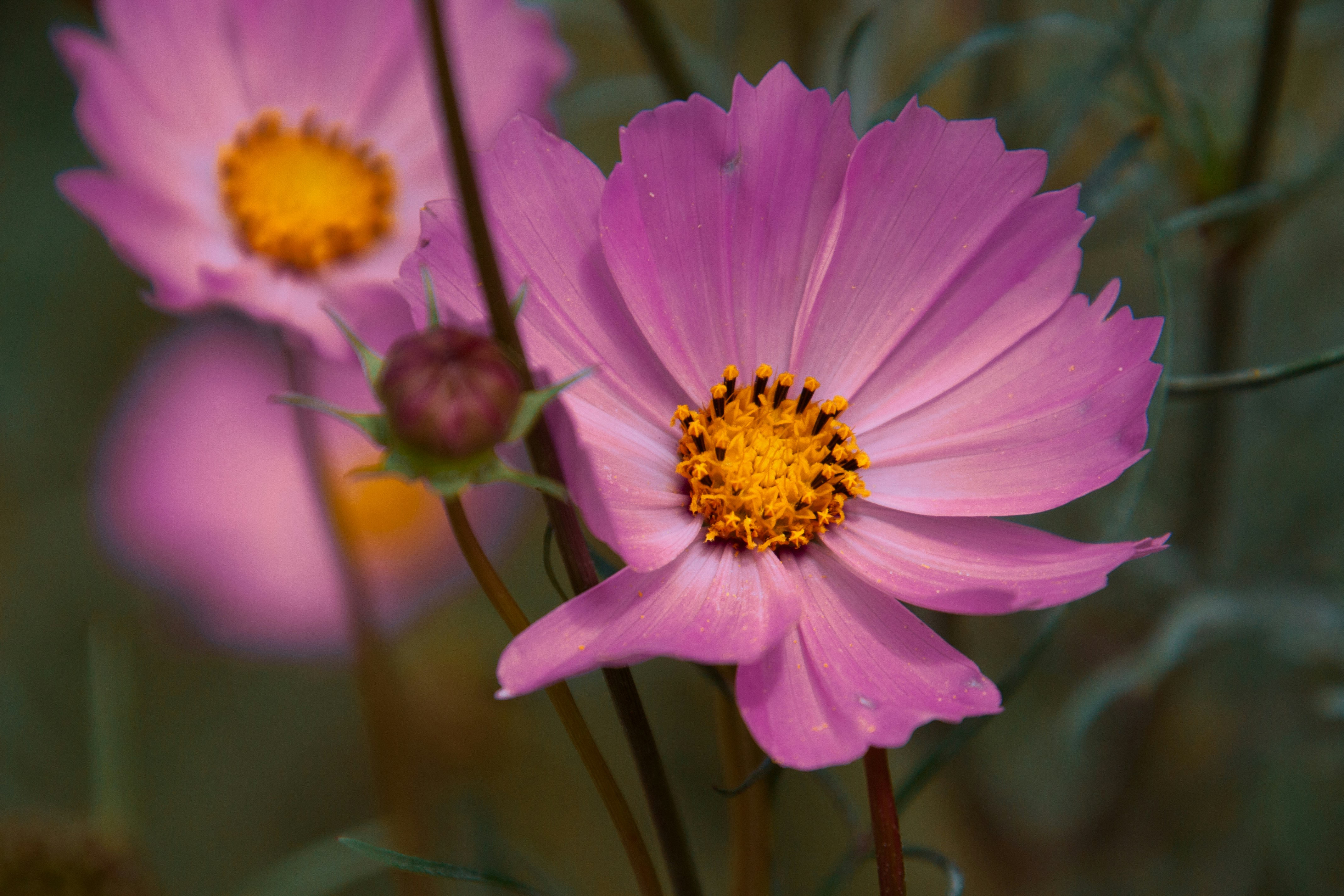 Photo by anthonyaird