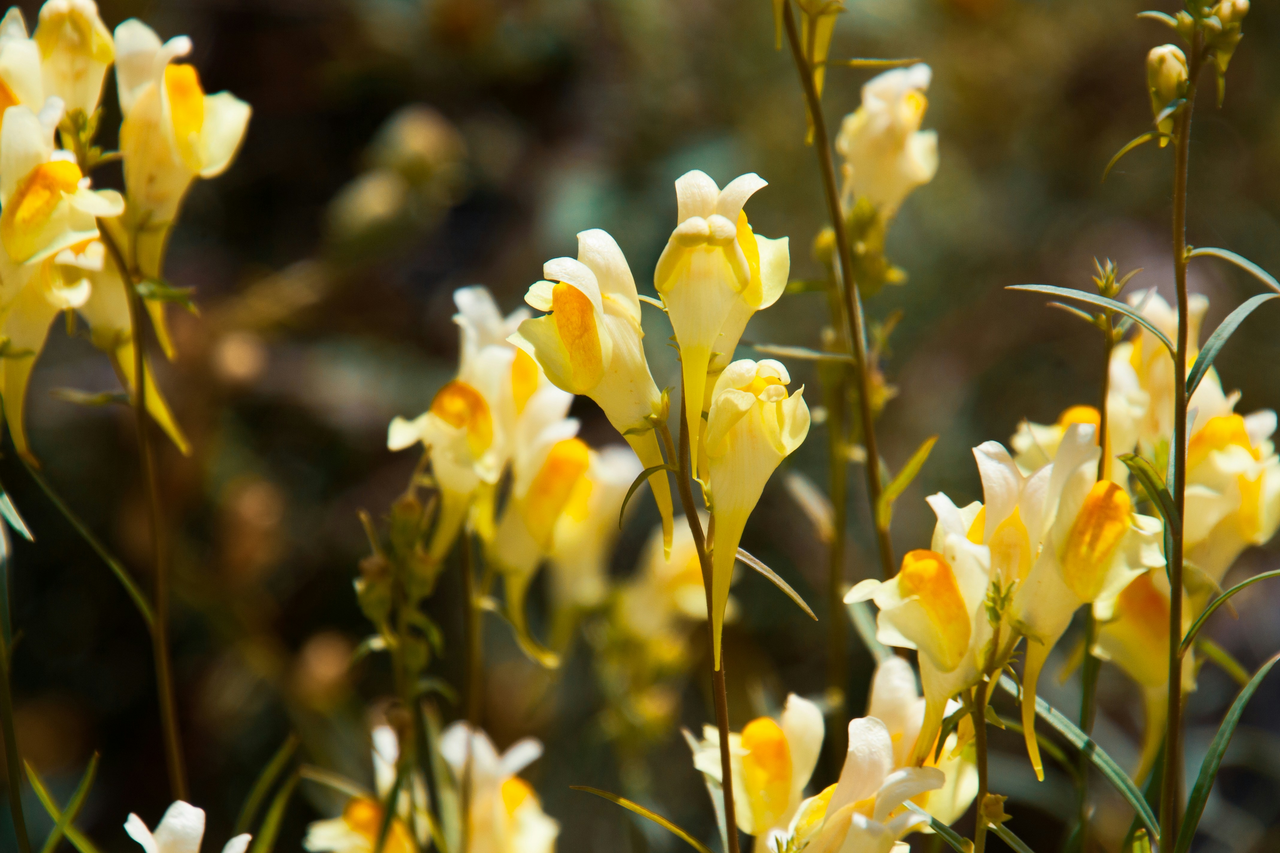 Photo by anthonyaird