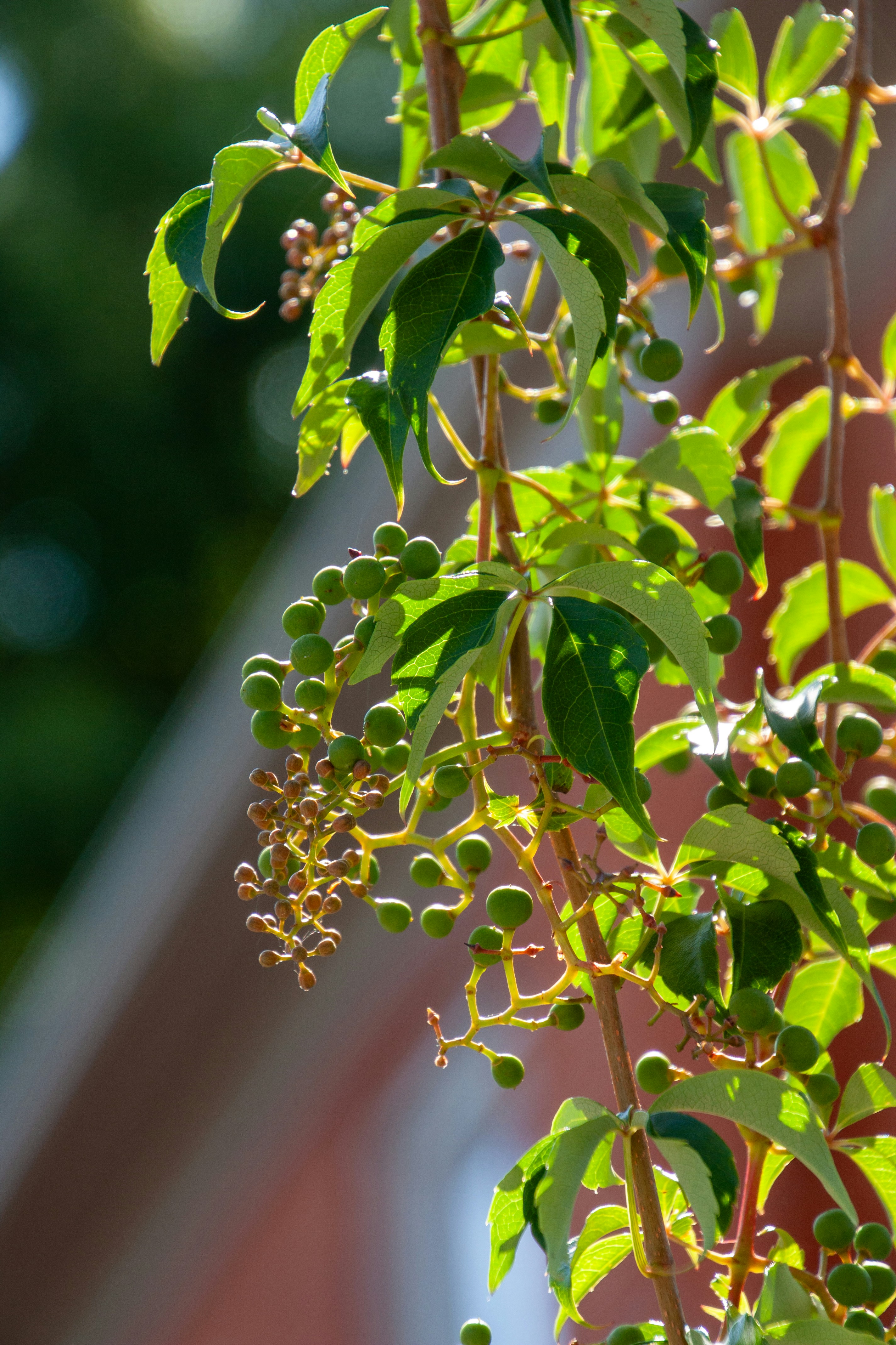 Photo by anthonyaird