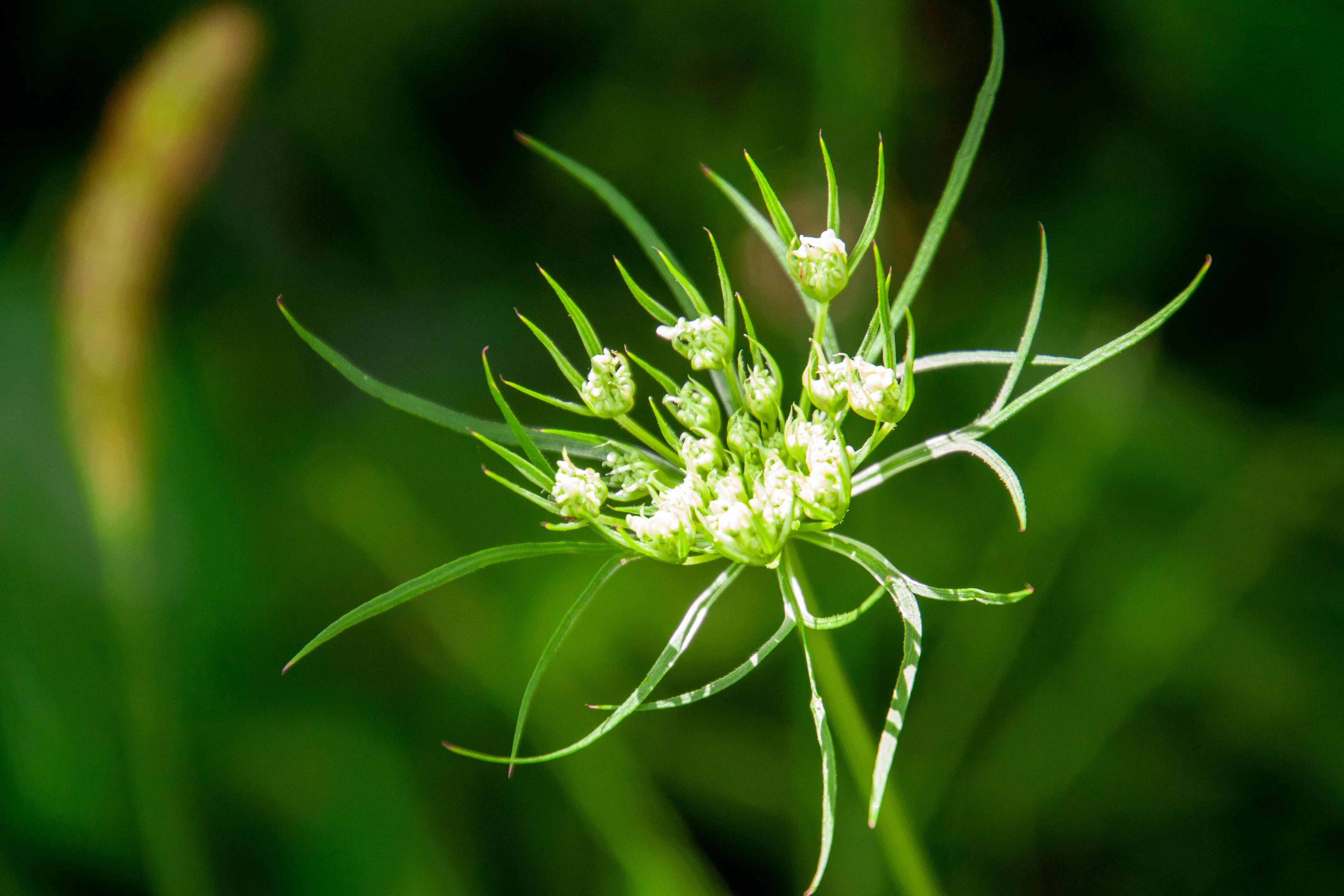 Photo by anthonyaird