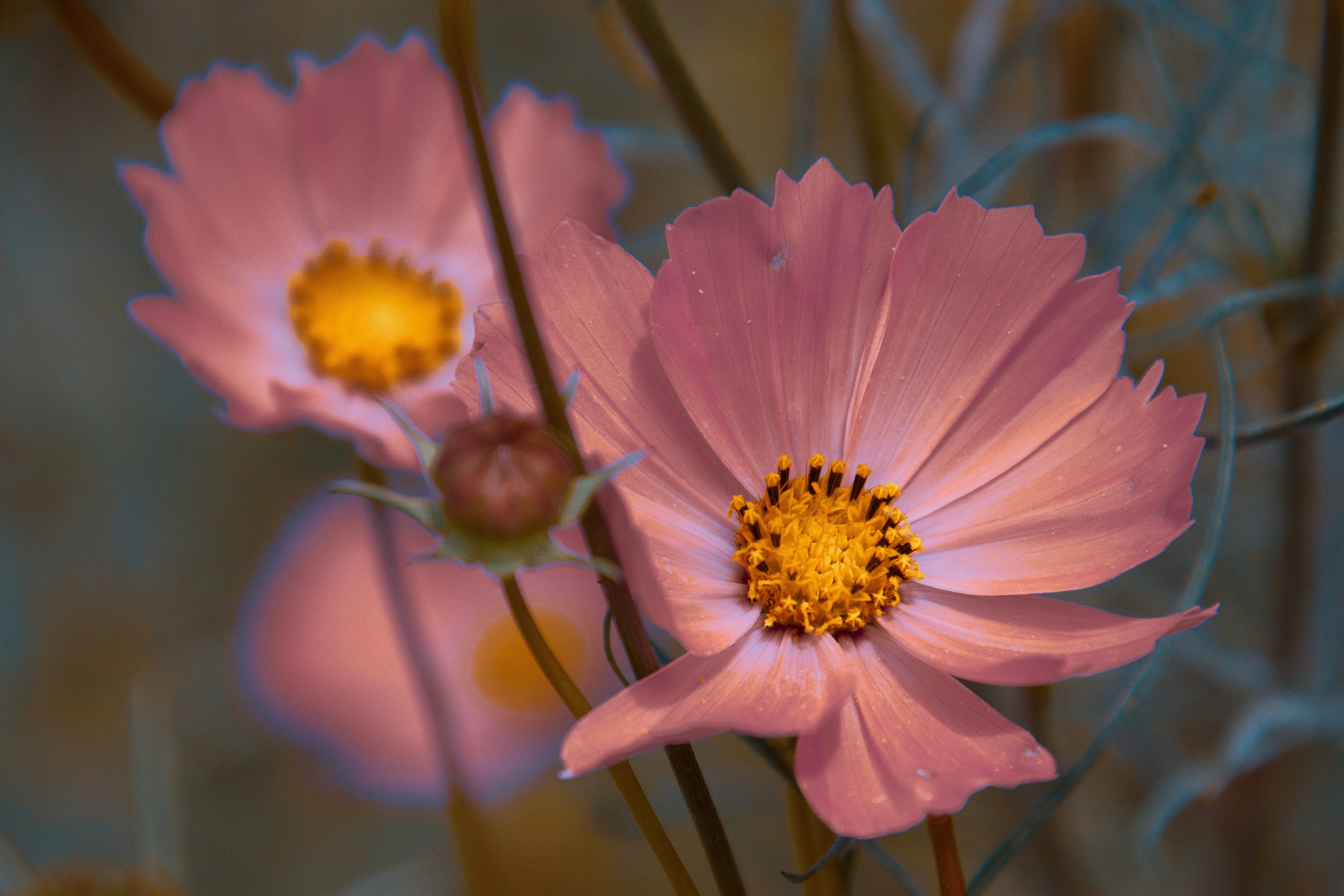 Photo by anthonyaird