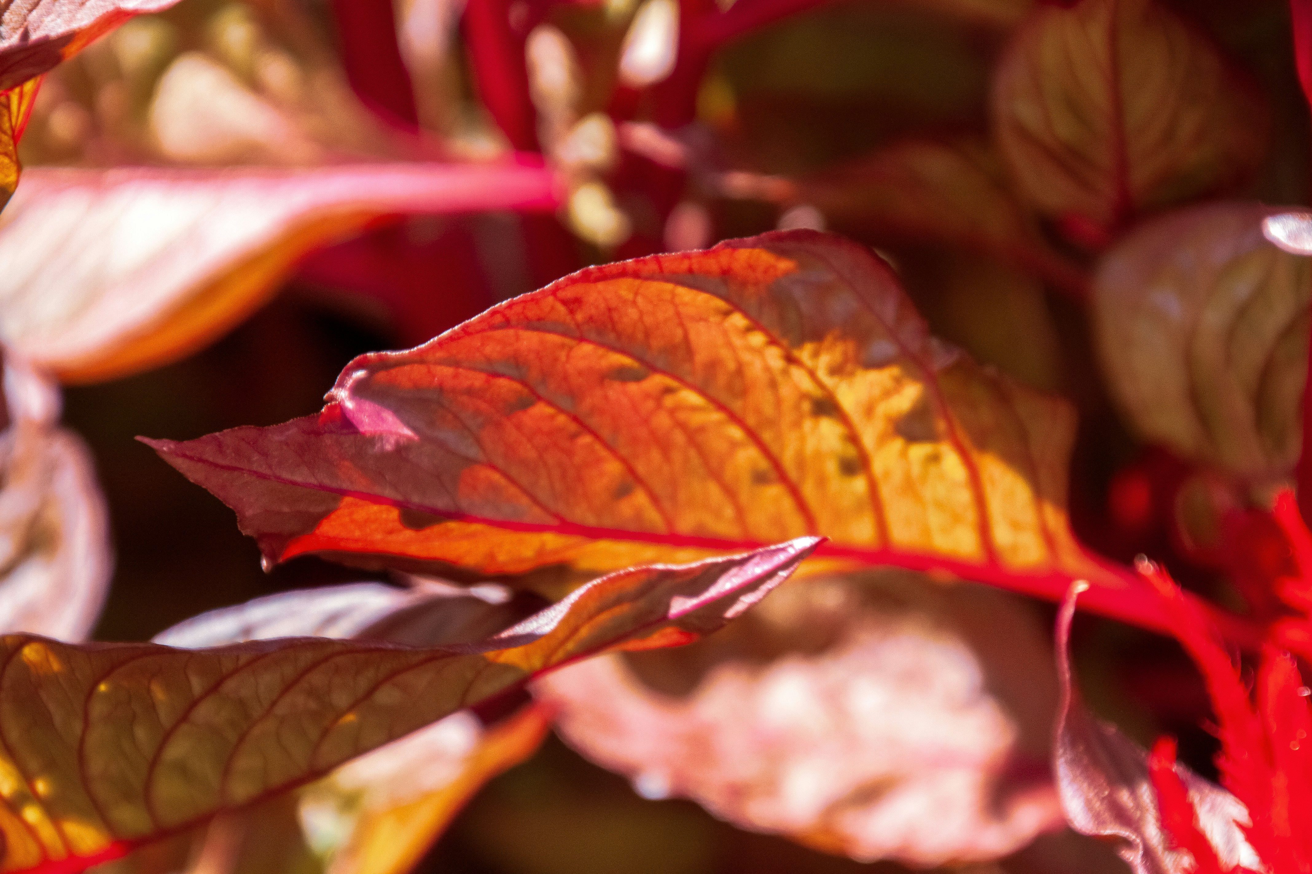 Photo by anthonyaird