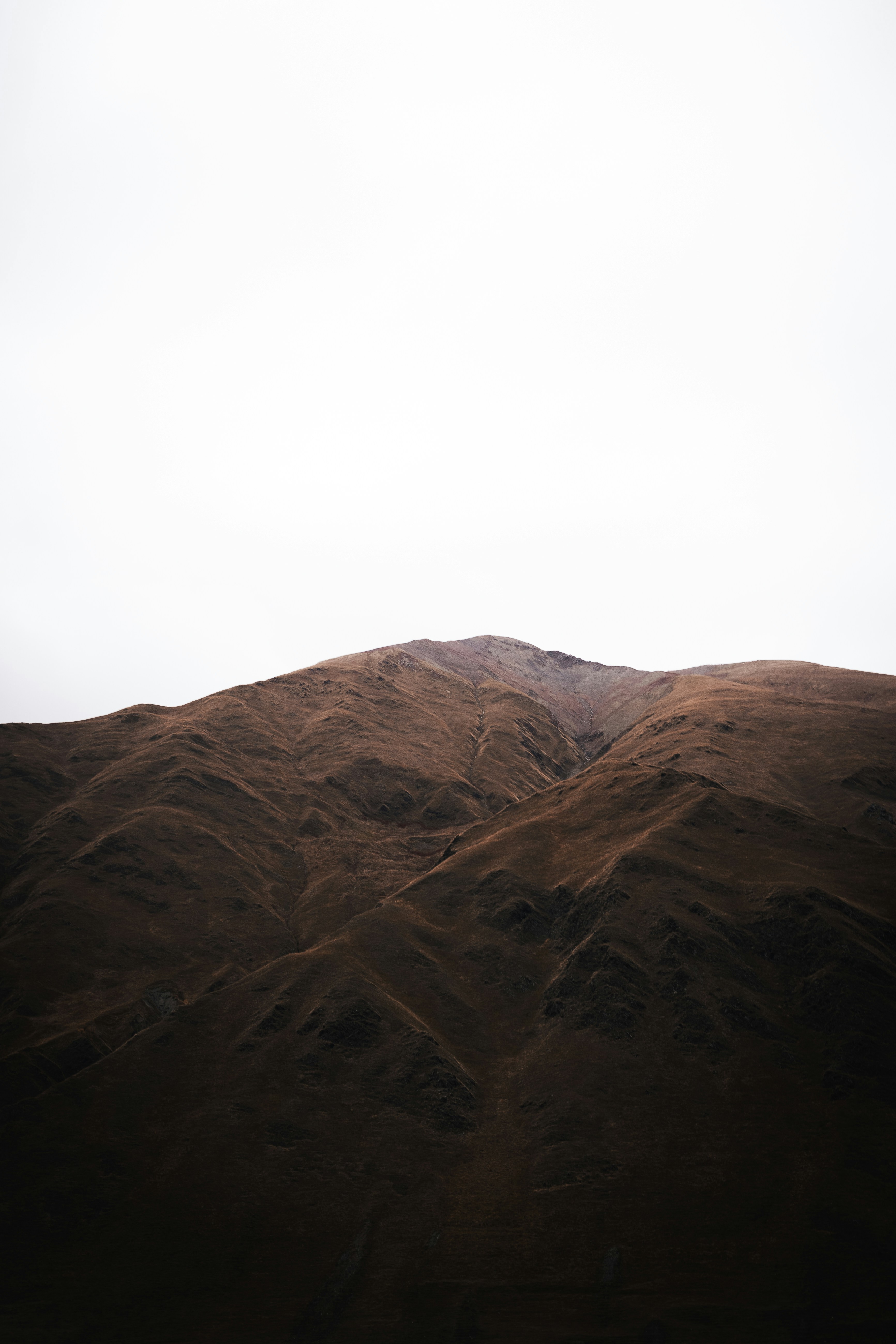 Photo by auchynnikau