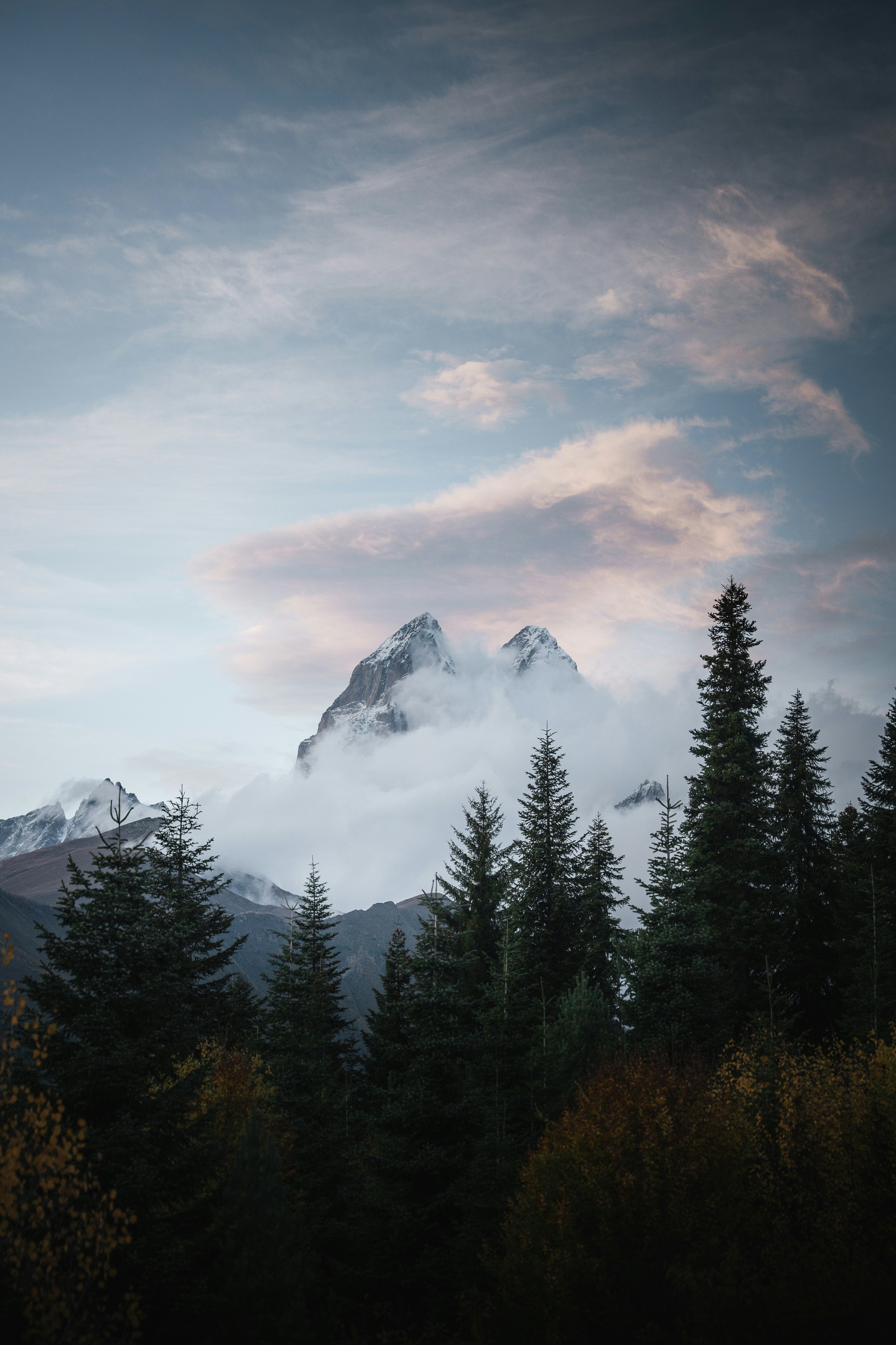 Photo by auchynnikau