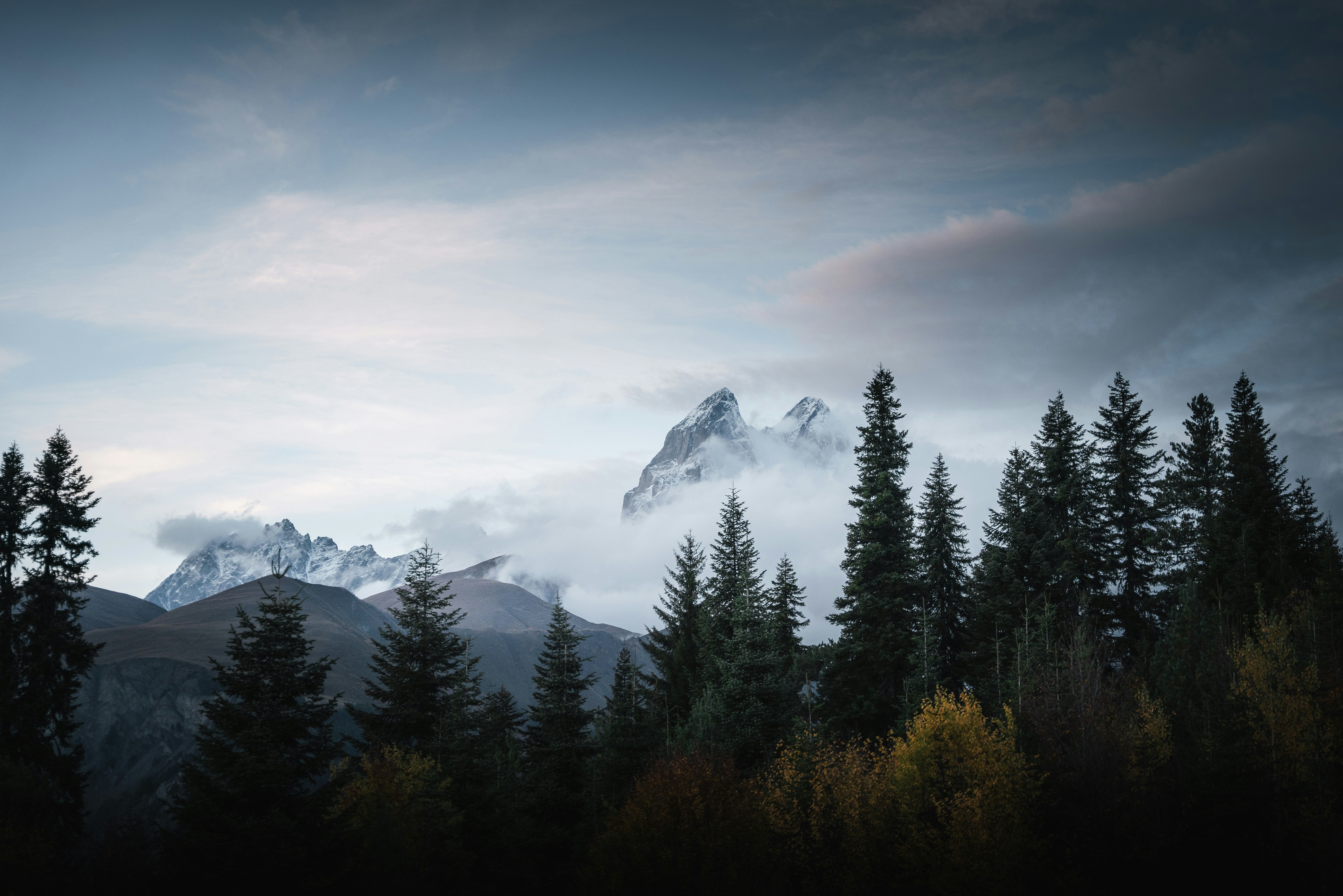 Photo by auchynnikau