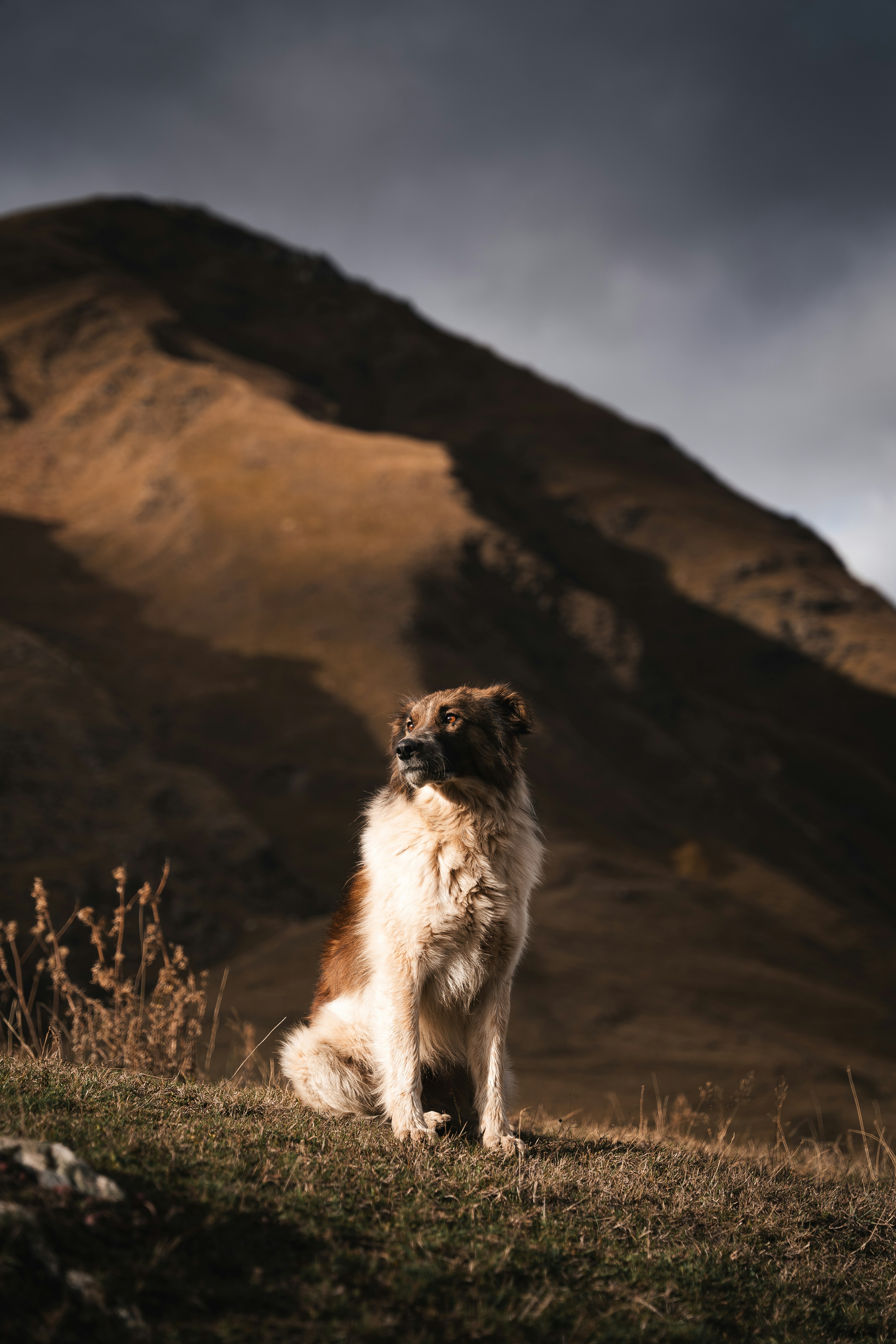 Photo by auchynnikau