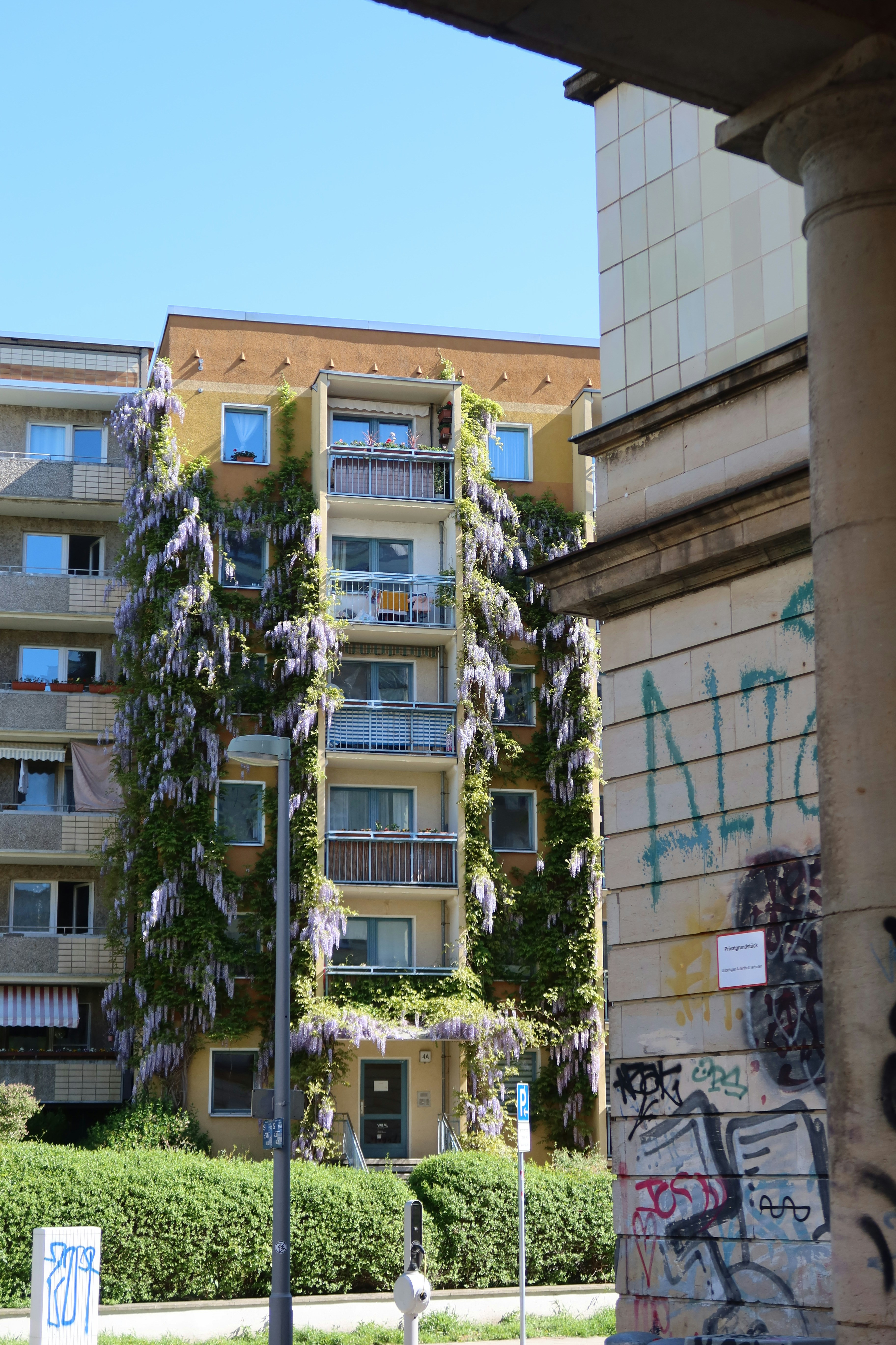 Photo by cheruseewai