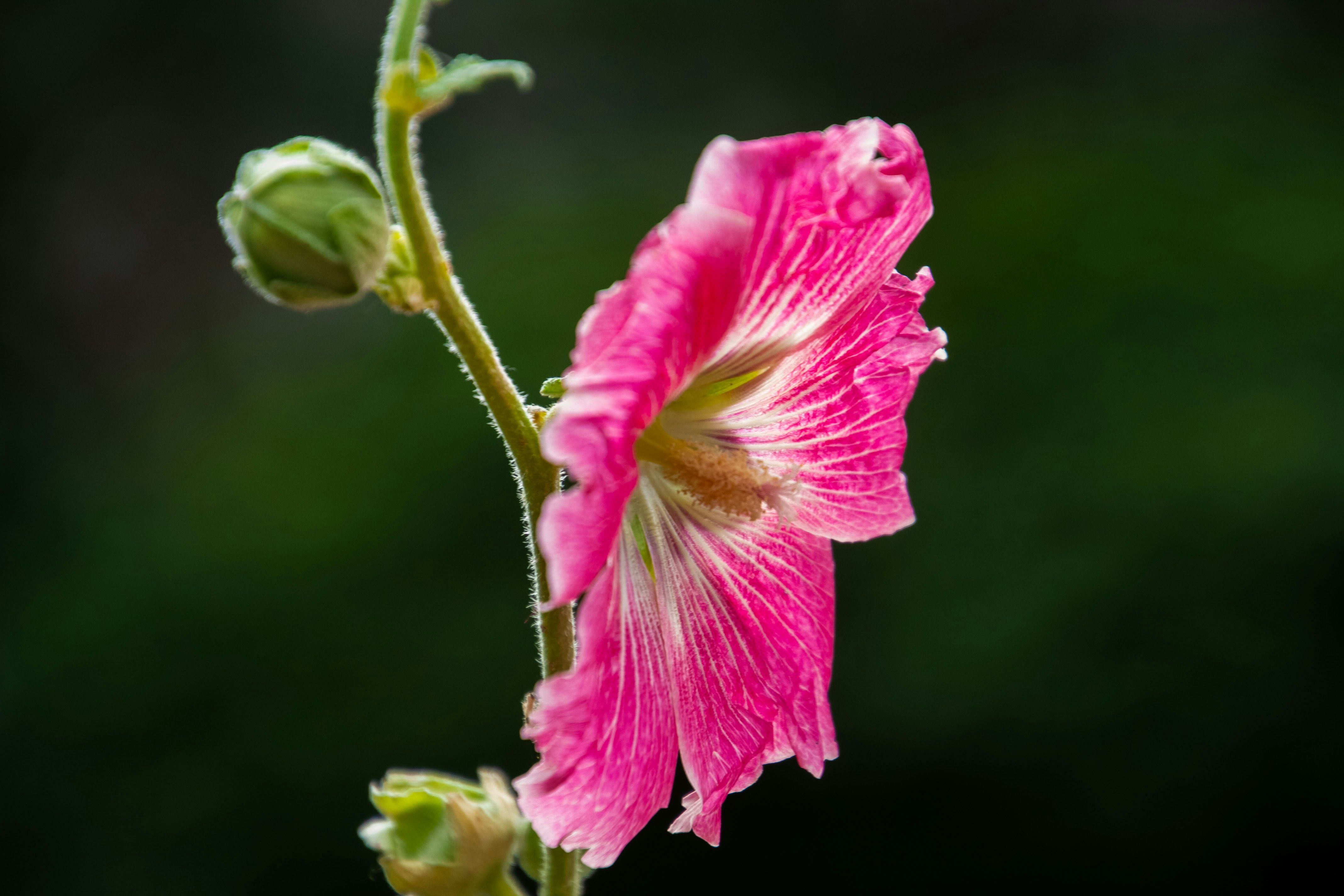 Photo by anthonyaird