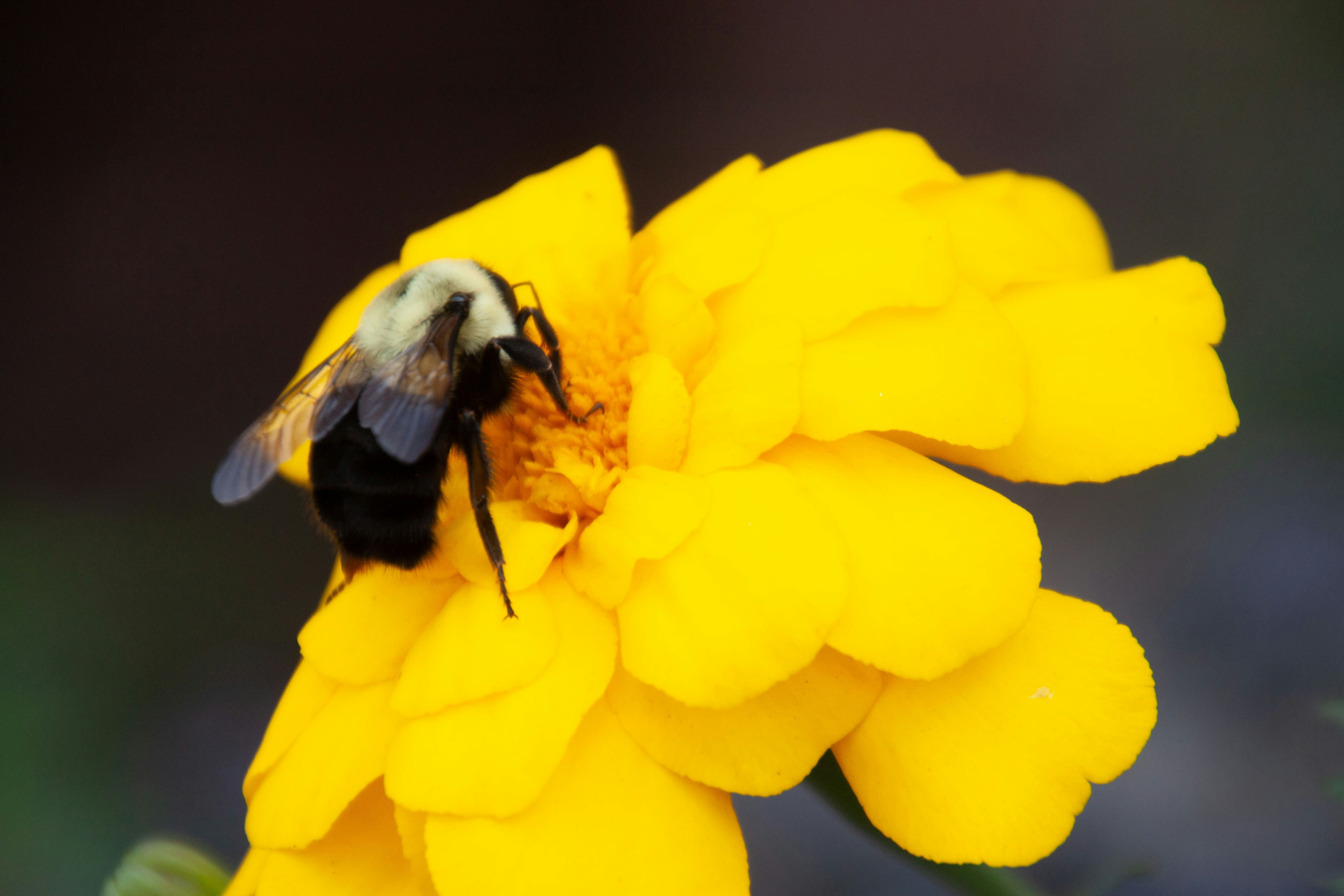 Photo by anthonyaird