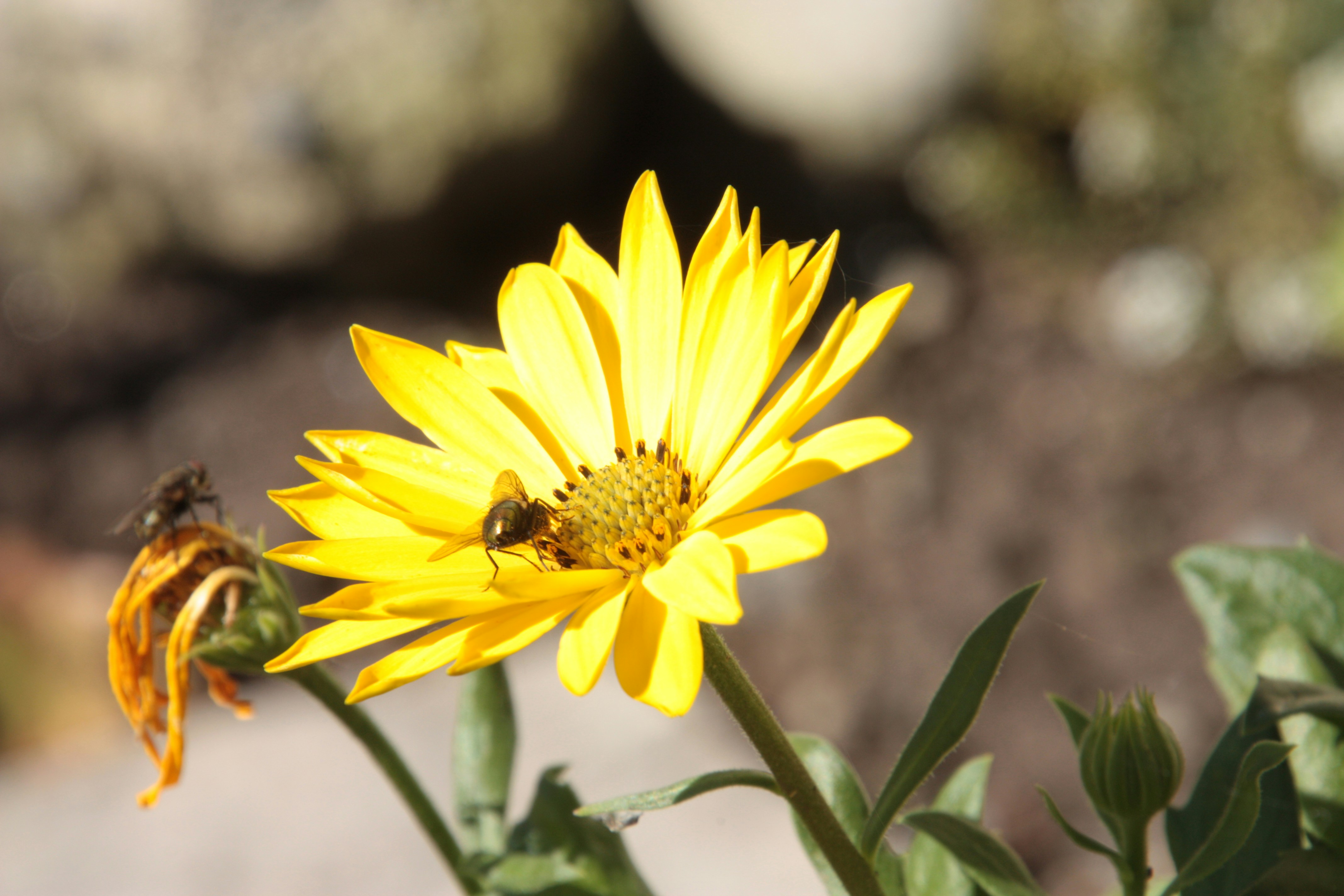 Photo by anthonyaird