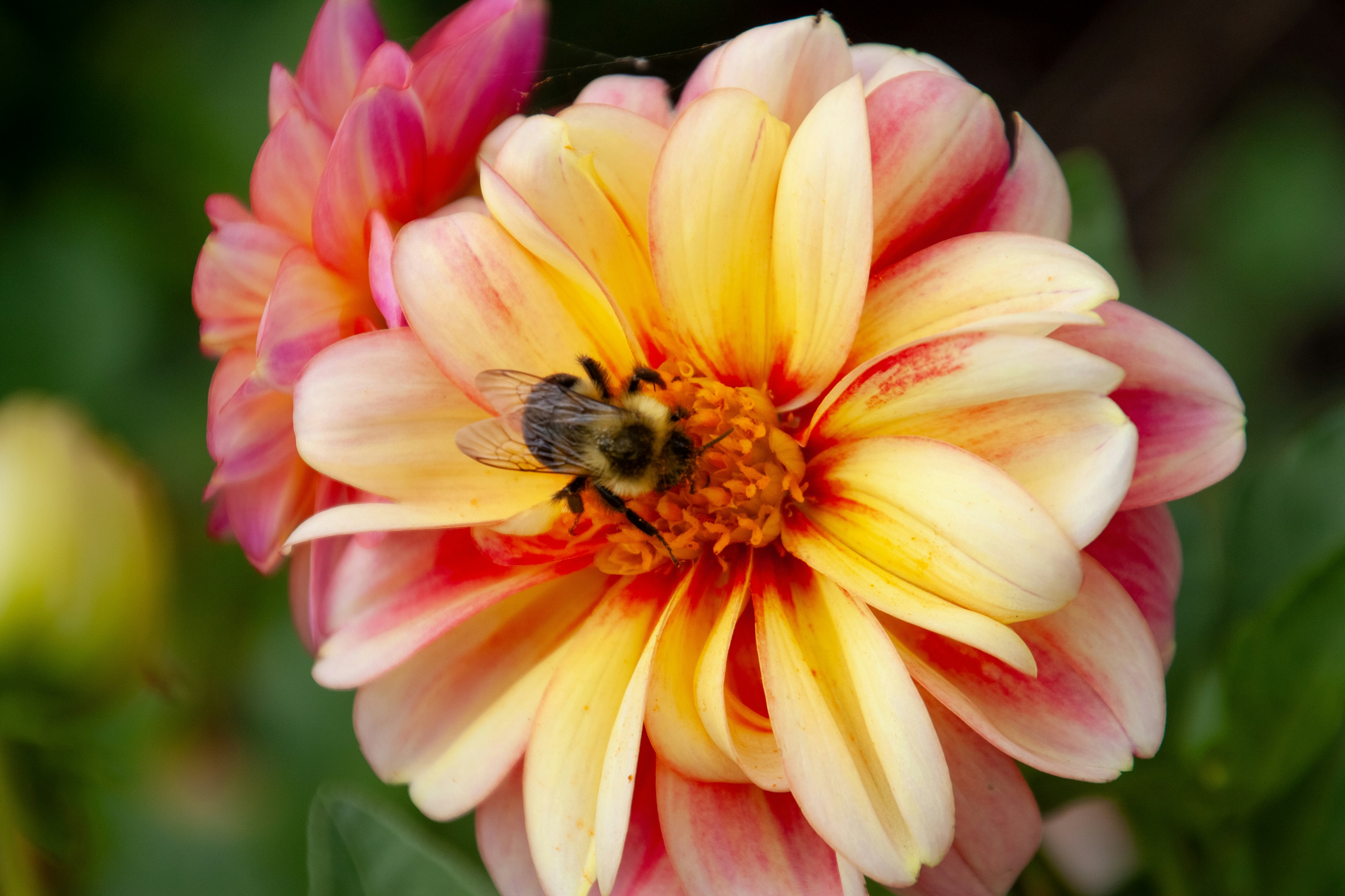 Photo by anthonyaird