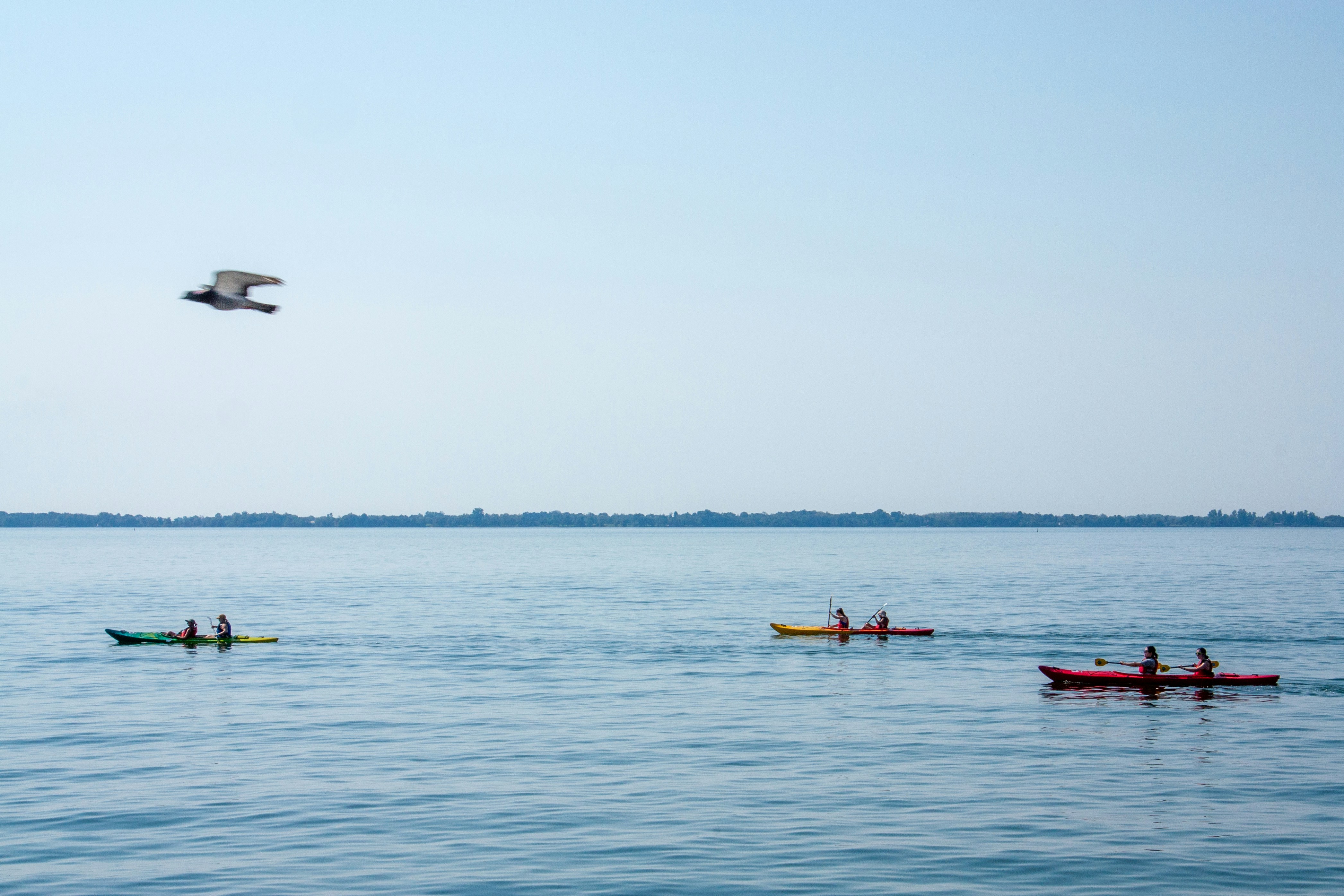 Photo by anthonyaird