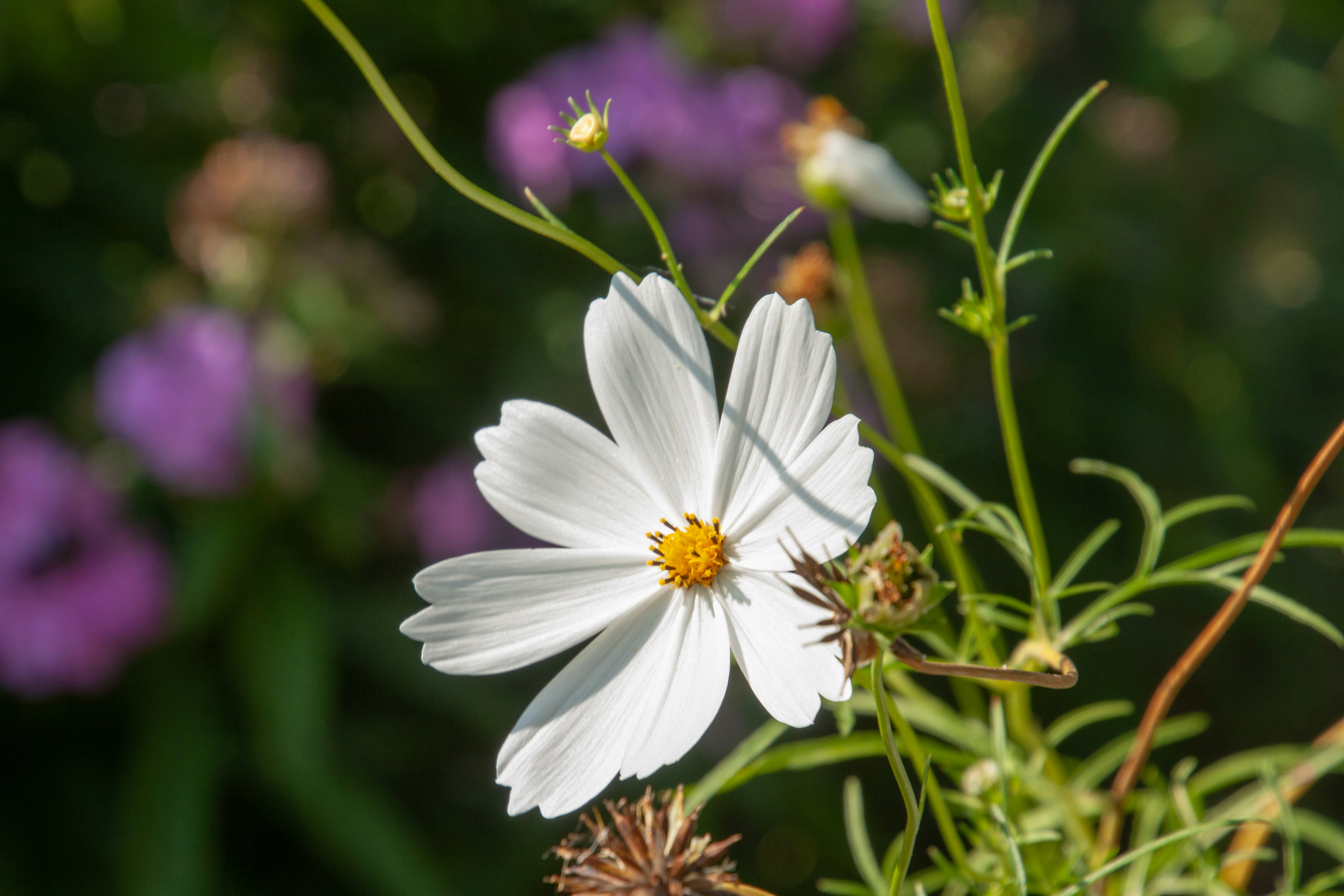 Photo by anthonyaird