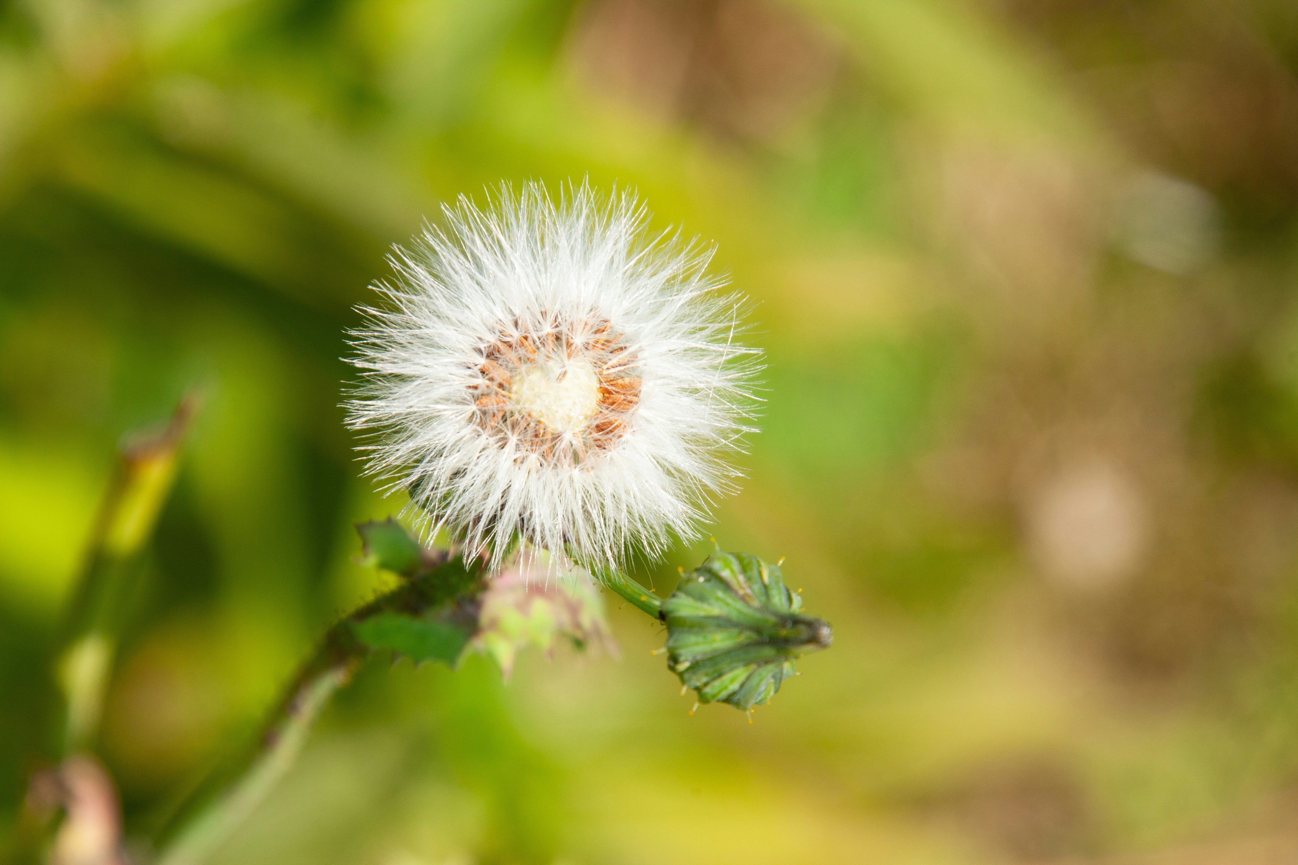 Photo by anthonyaird