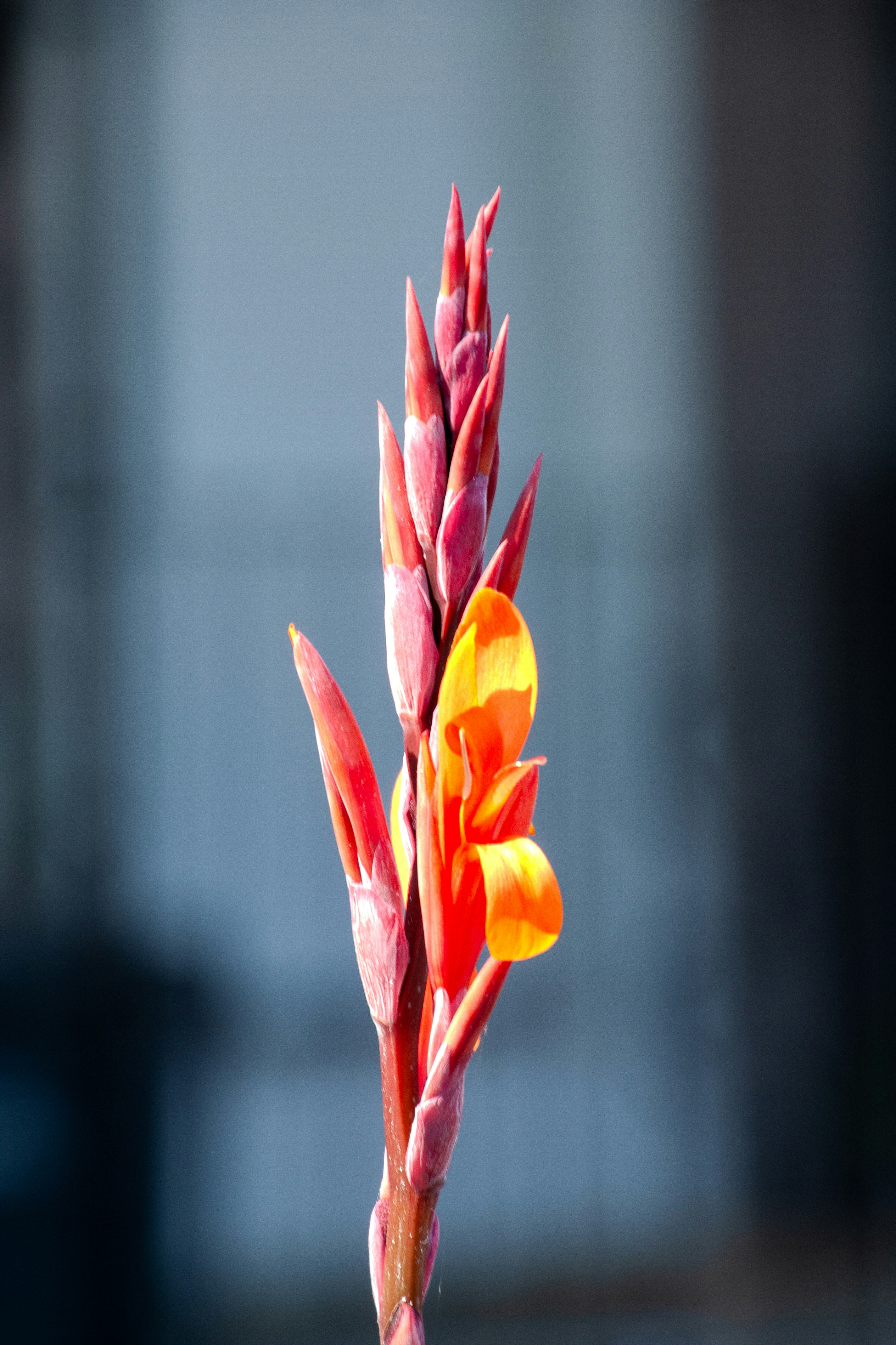 Photo by anthonyaird