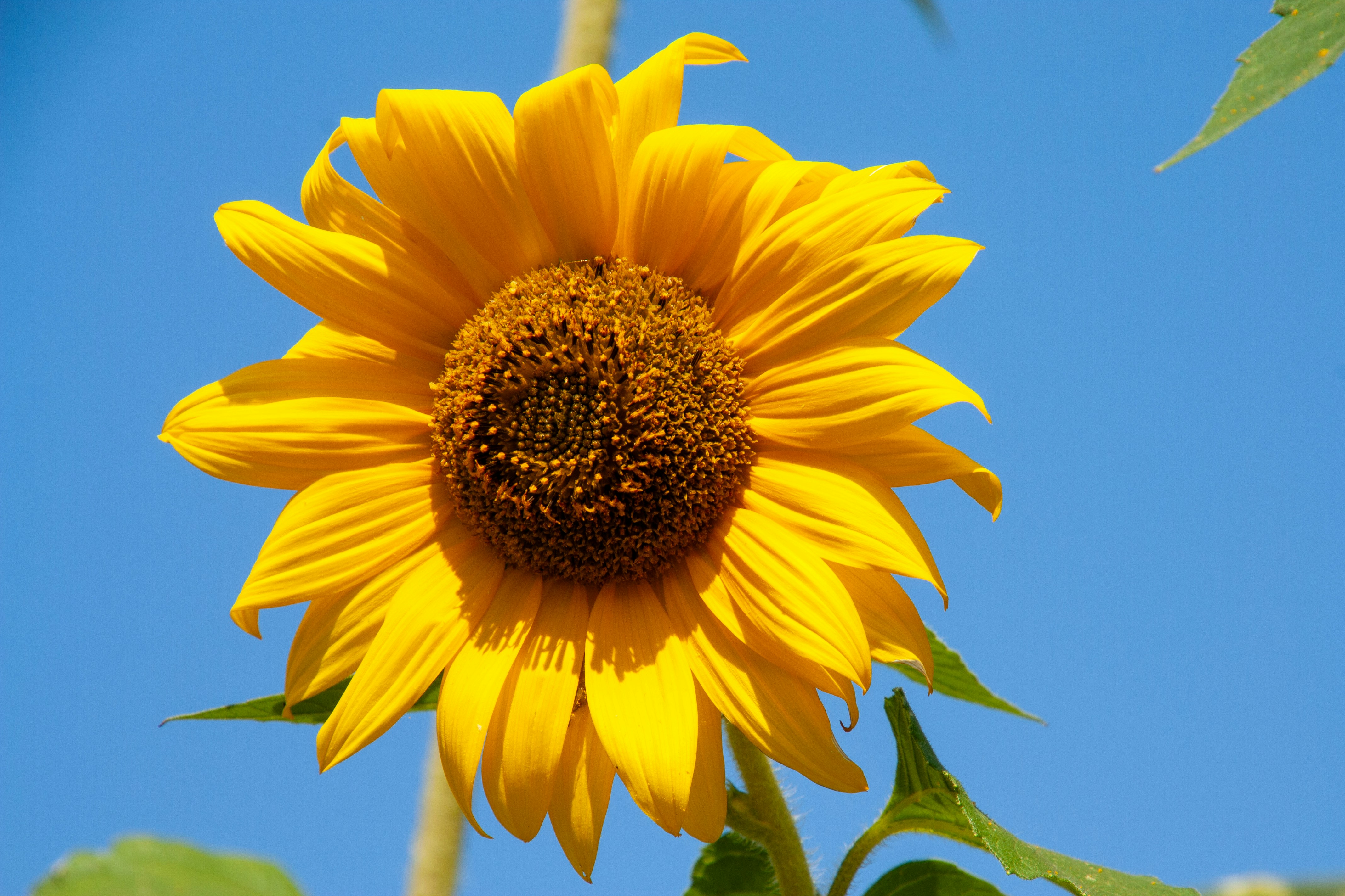 Photo by anthonyaird