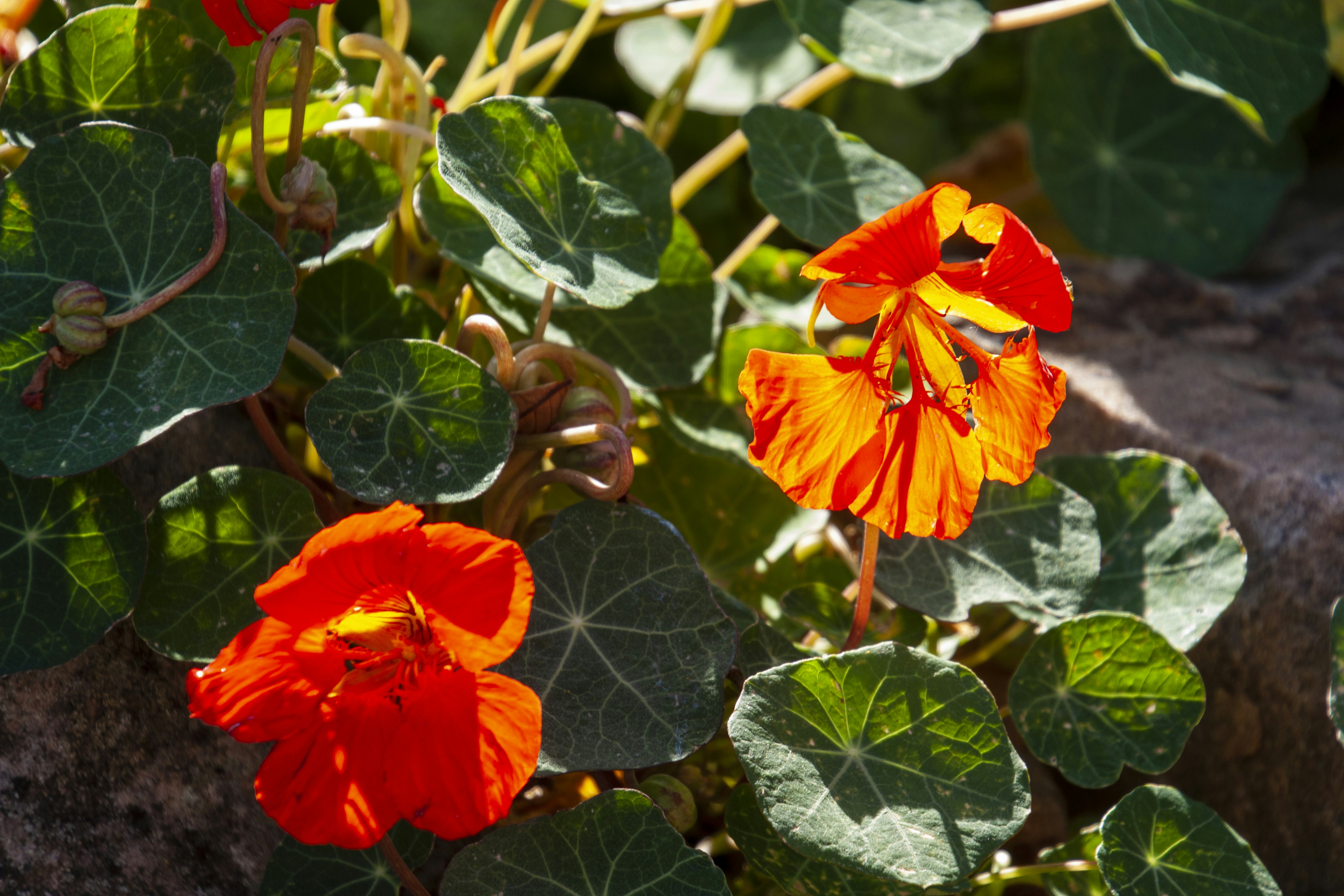 Photo by anthonyaird