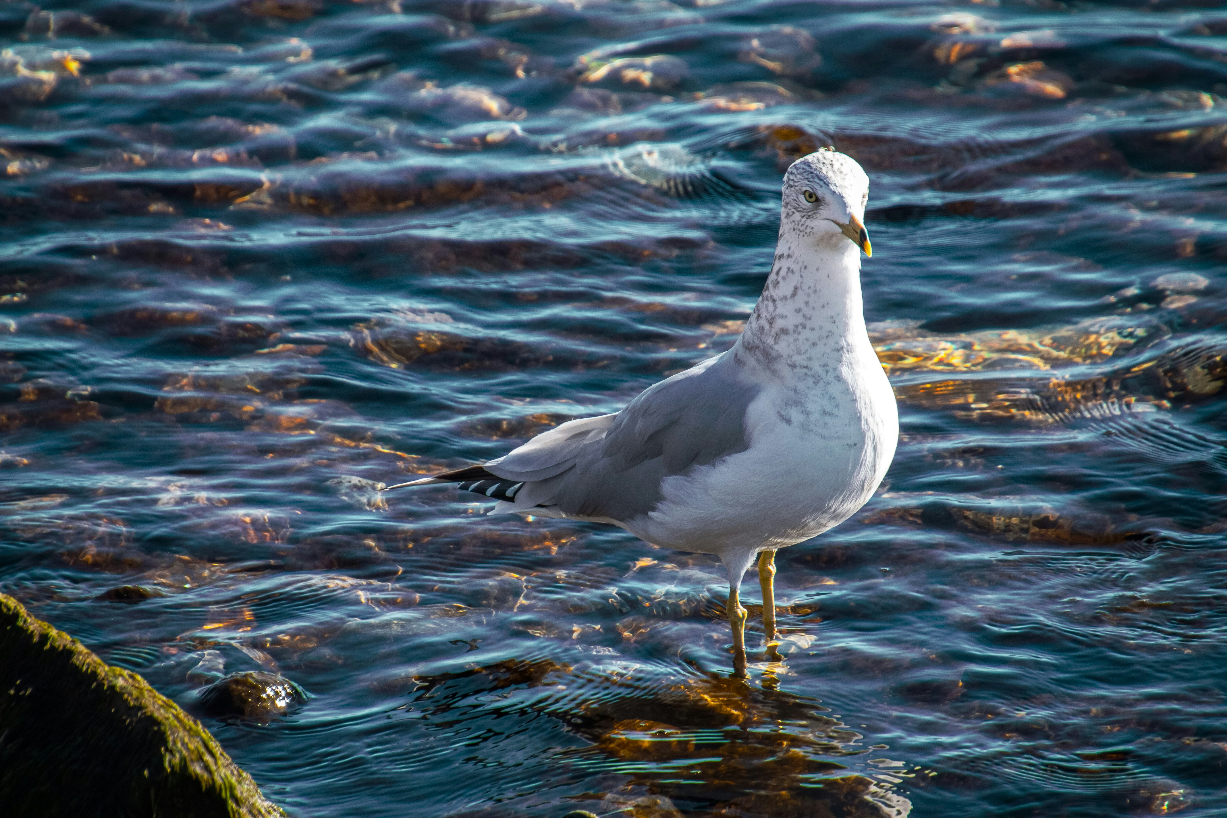 Photo by anthonyaird