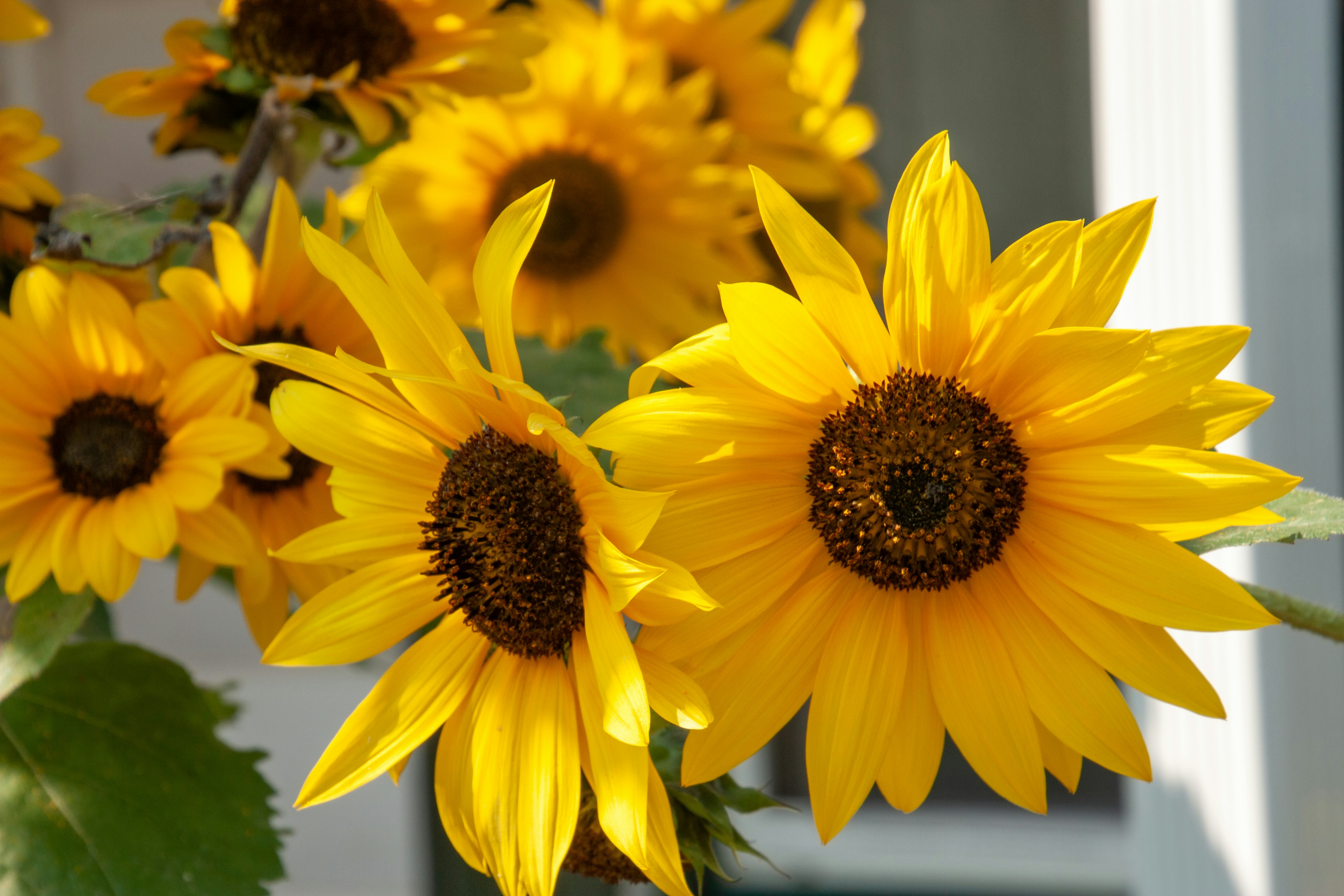 Photo by anthonyaird