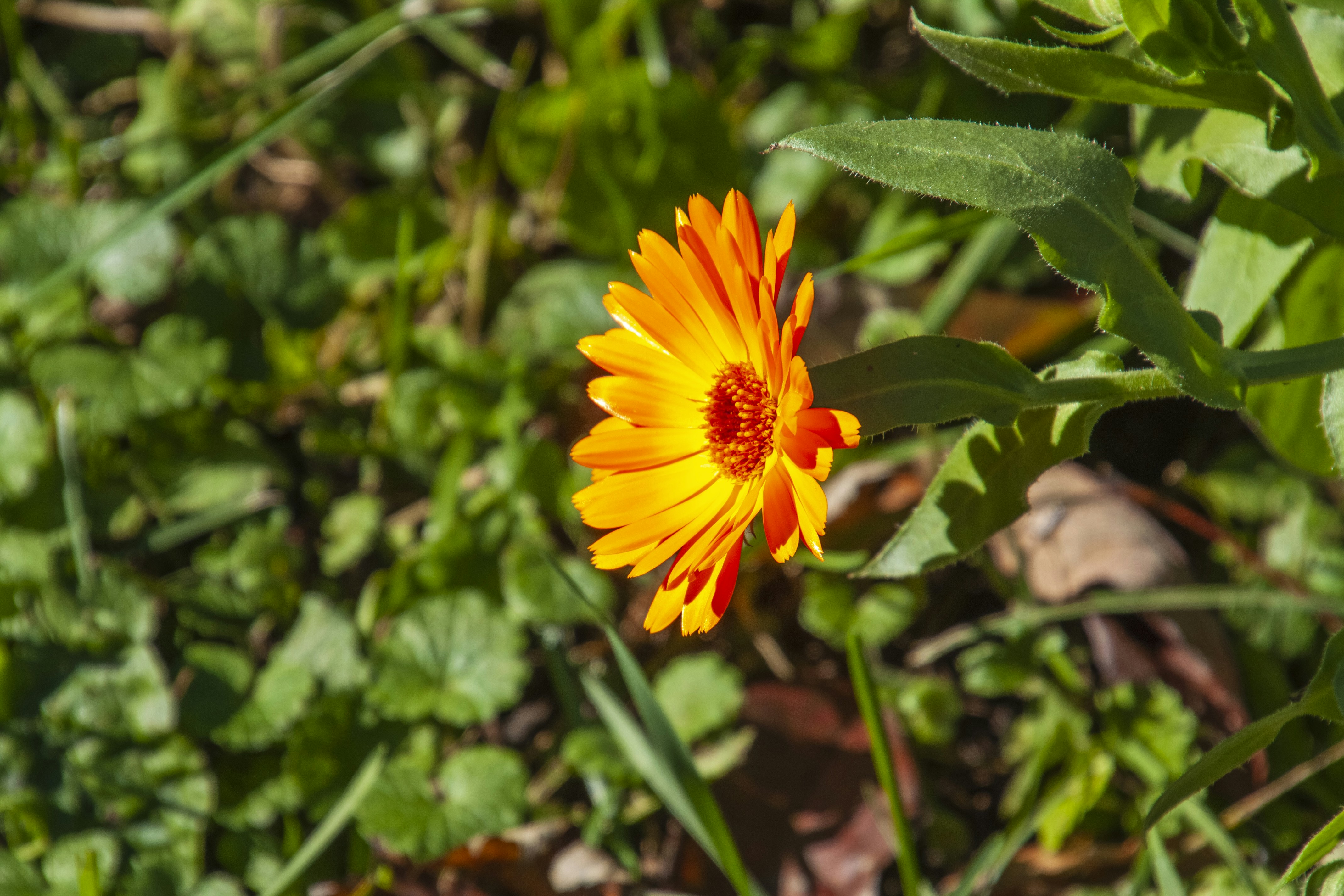 Photo by anthonyaird