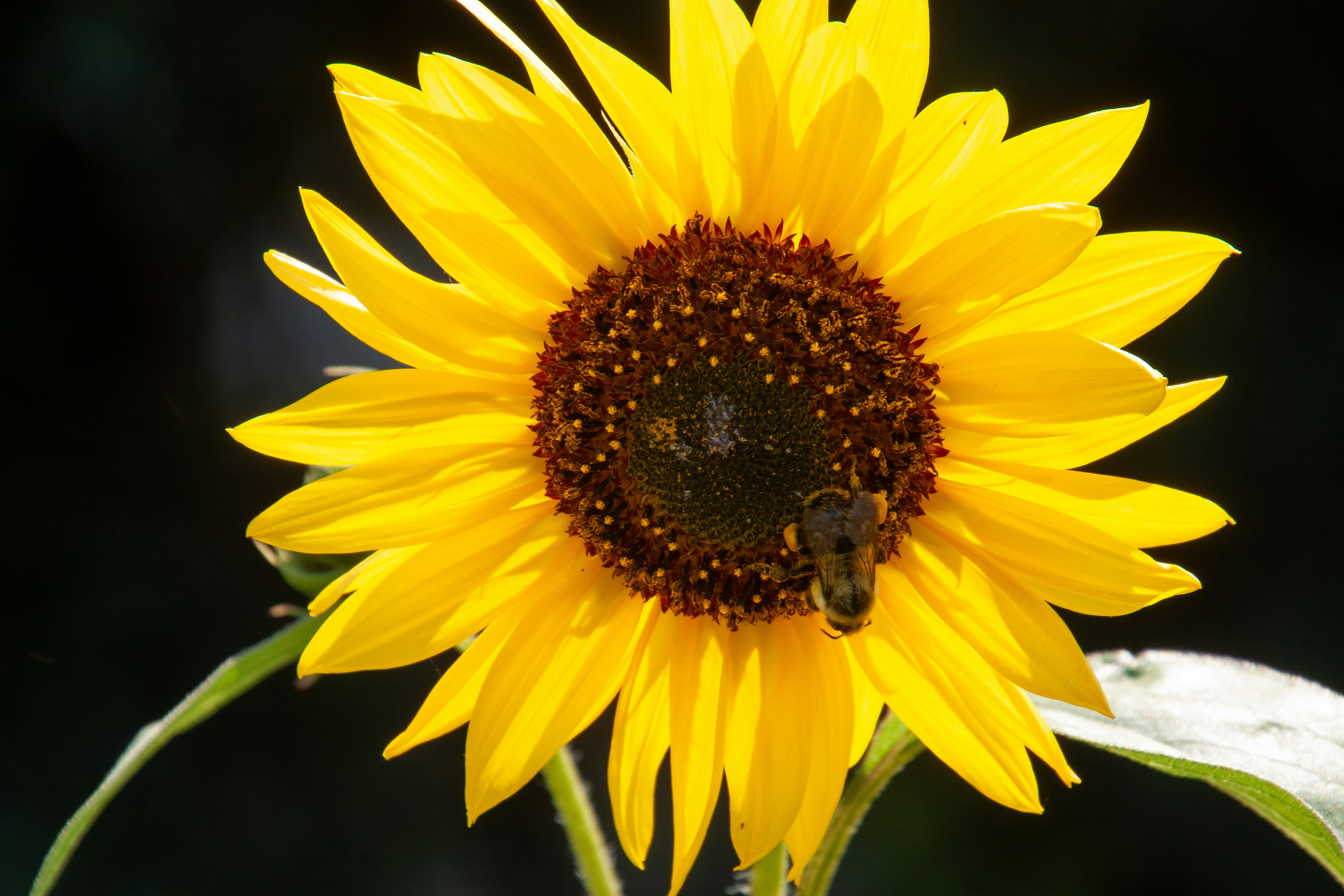 Photo by anthonyaird