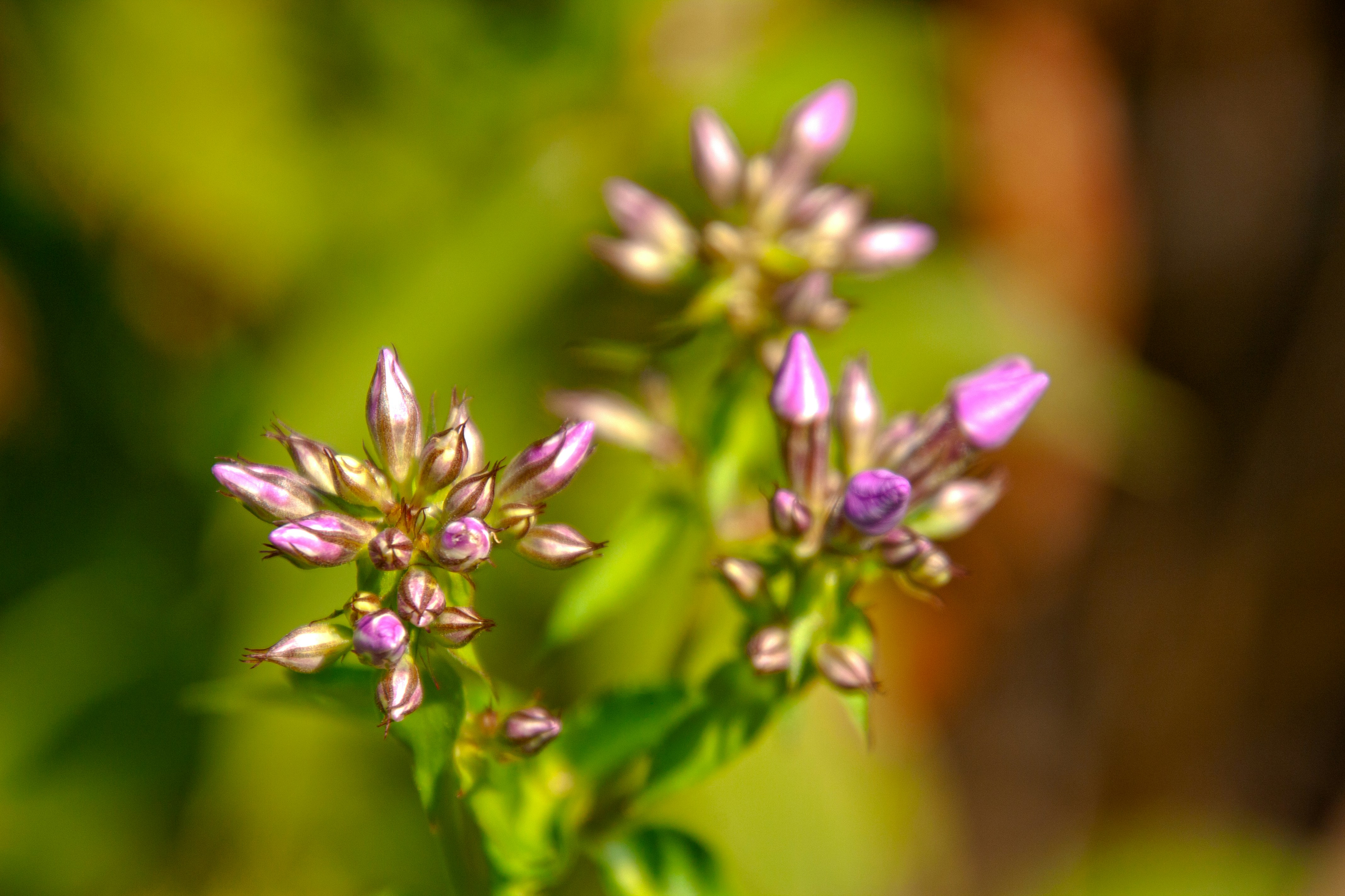 Photo by anthonyaird