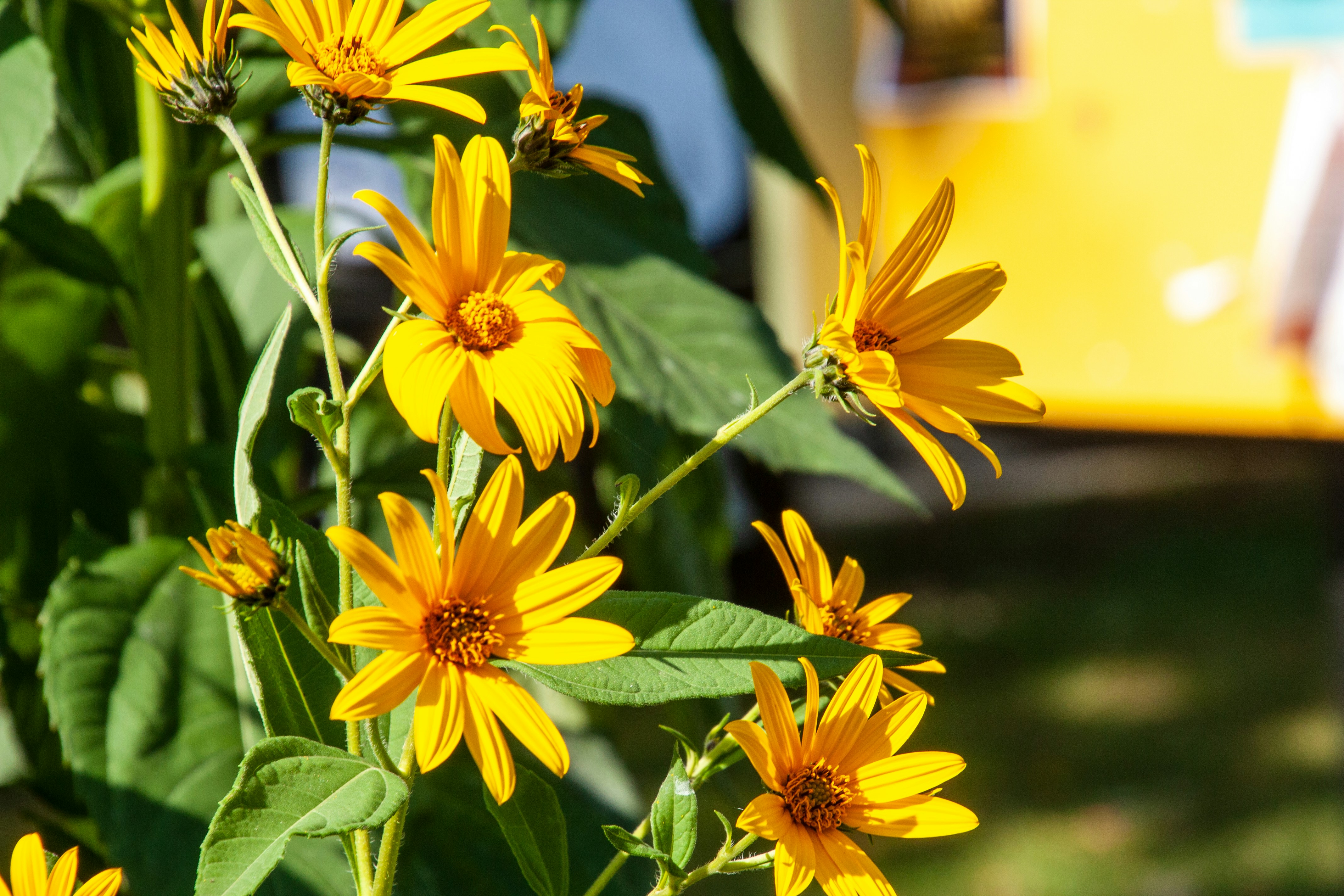 Photo by anthonyaird