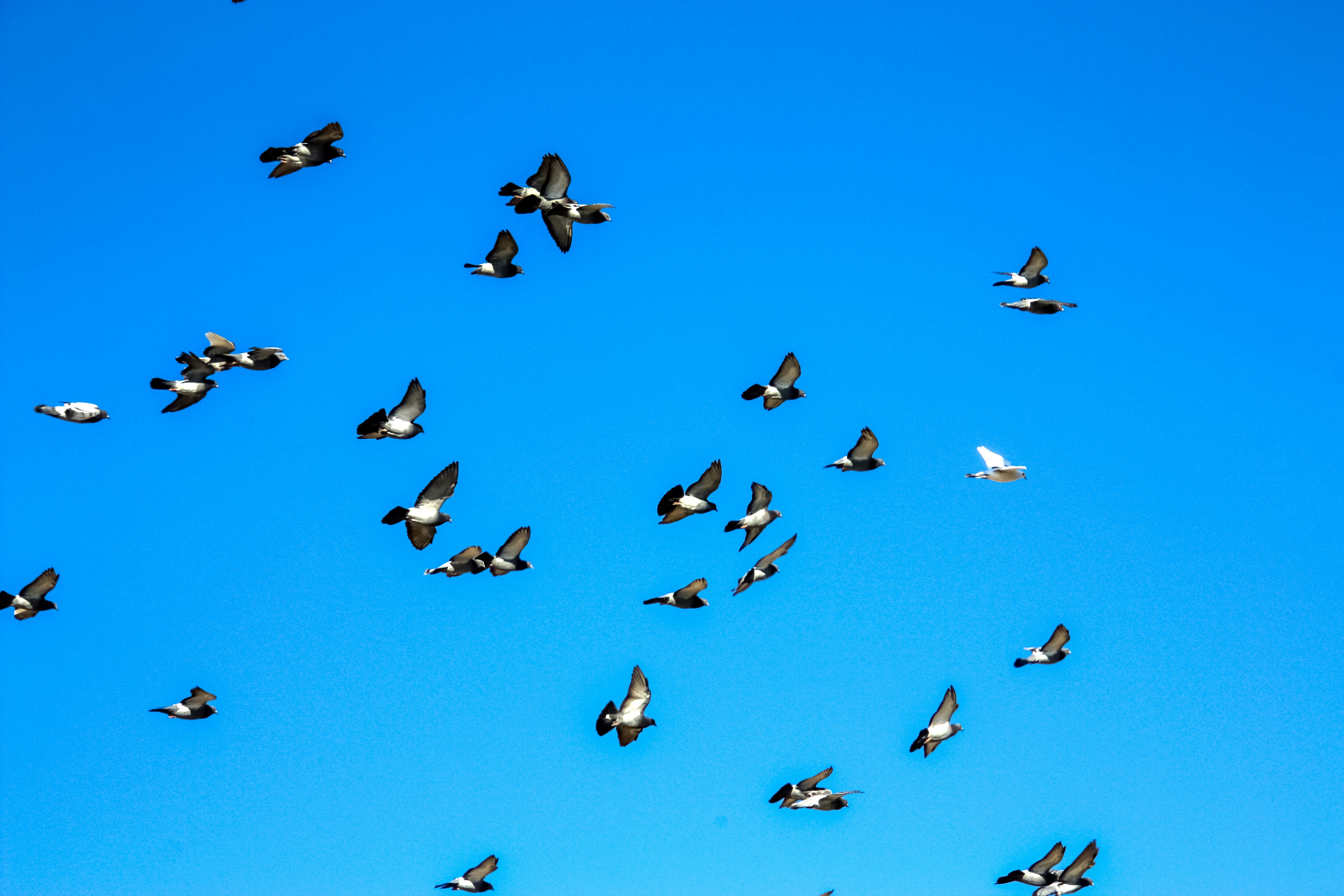 Photo by anthonyaird