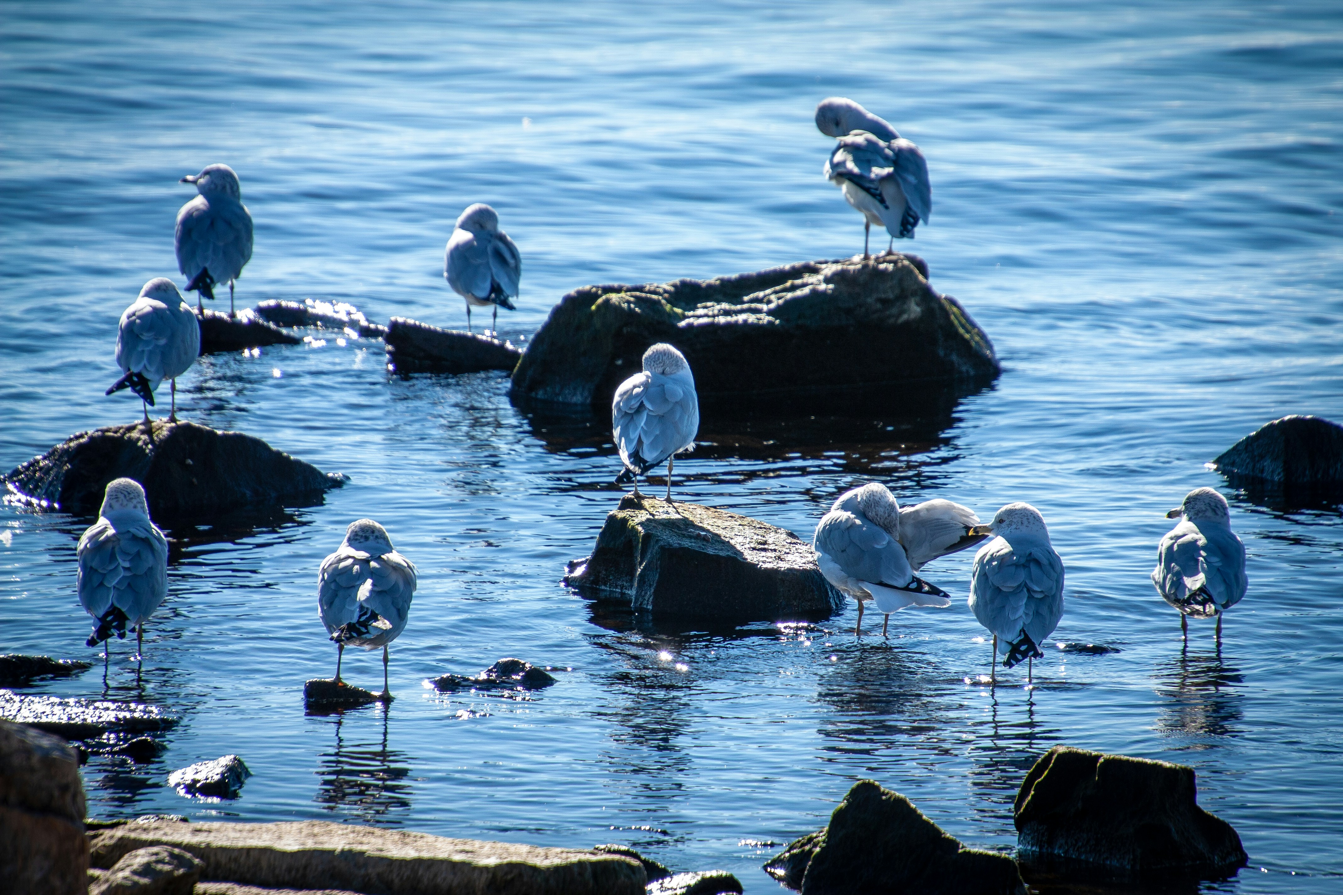 Photo by anthonyaird