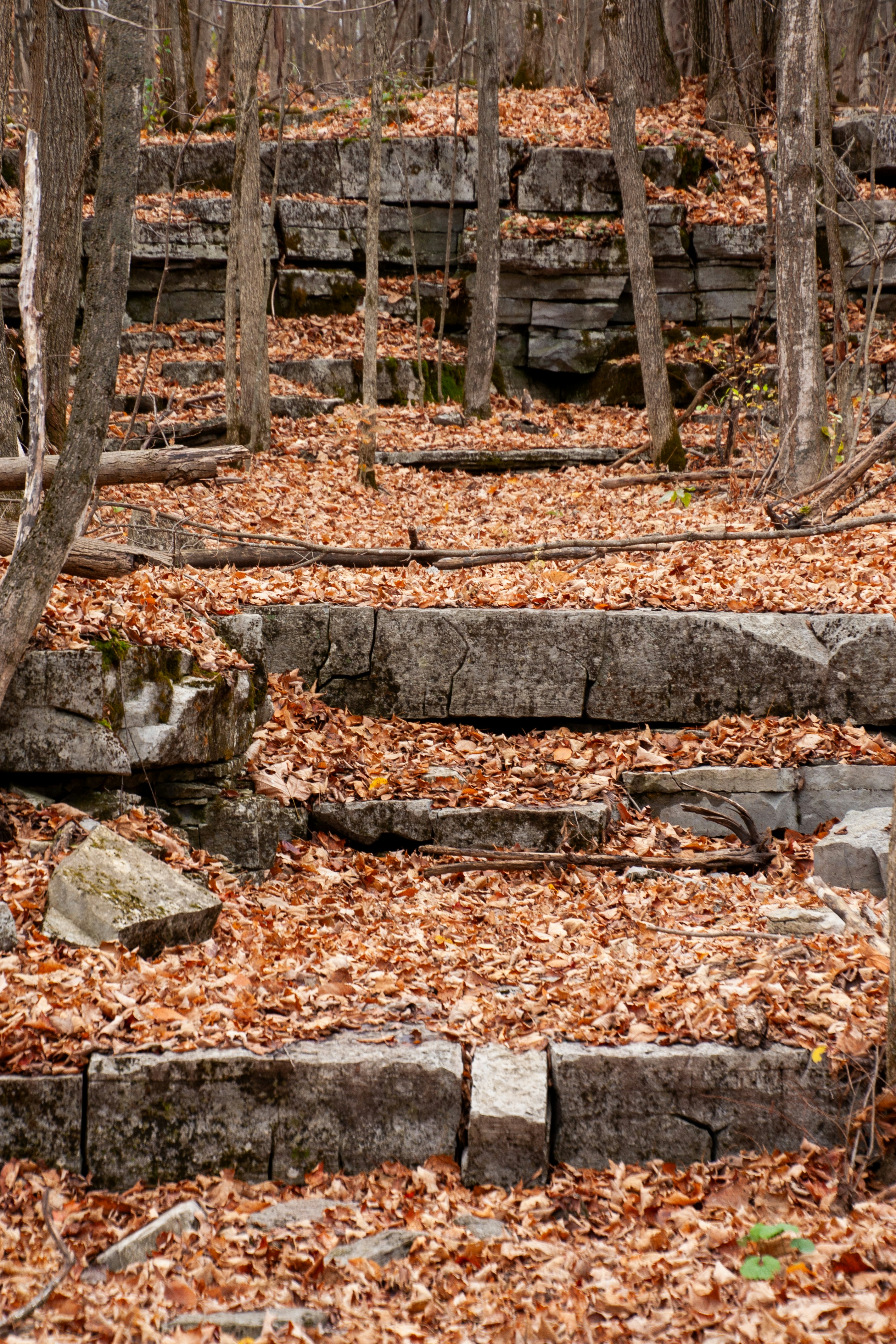 Photo by anthonyaird