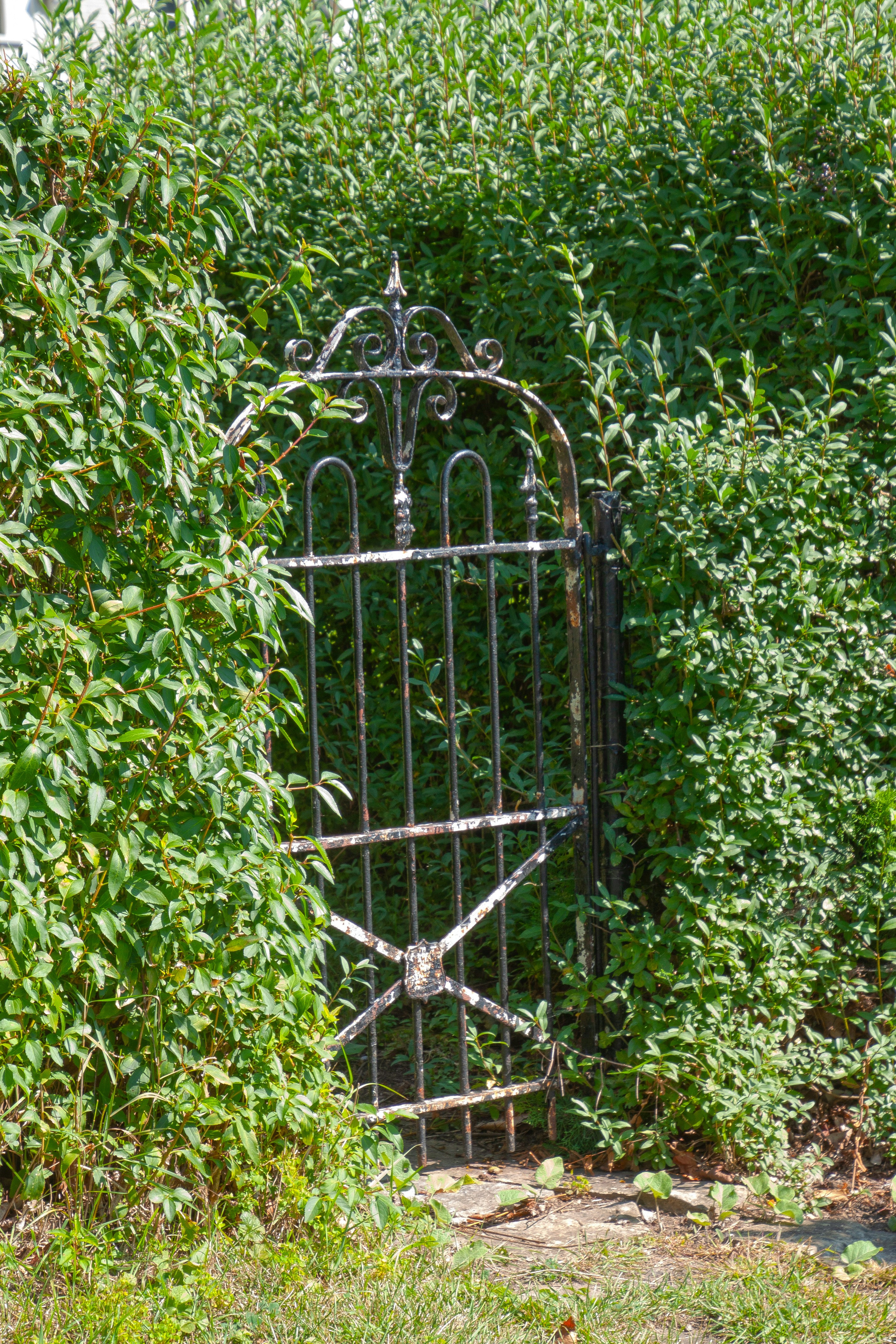 Photo by anthonyaird